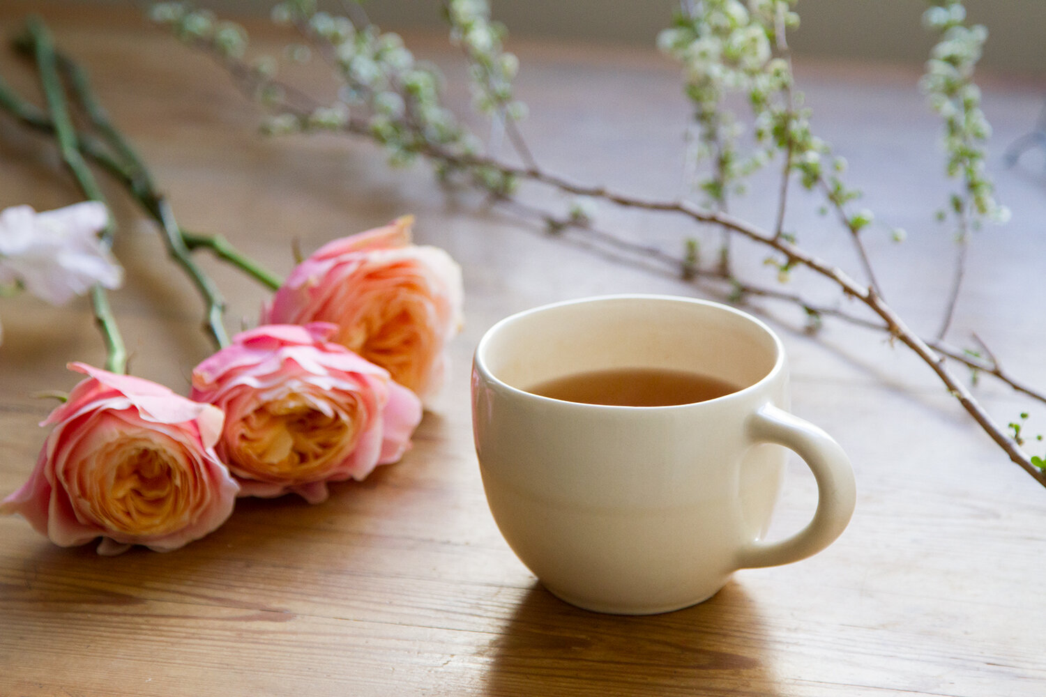tea_reading_my_tea_leaves_IMG_7614