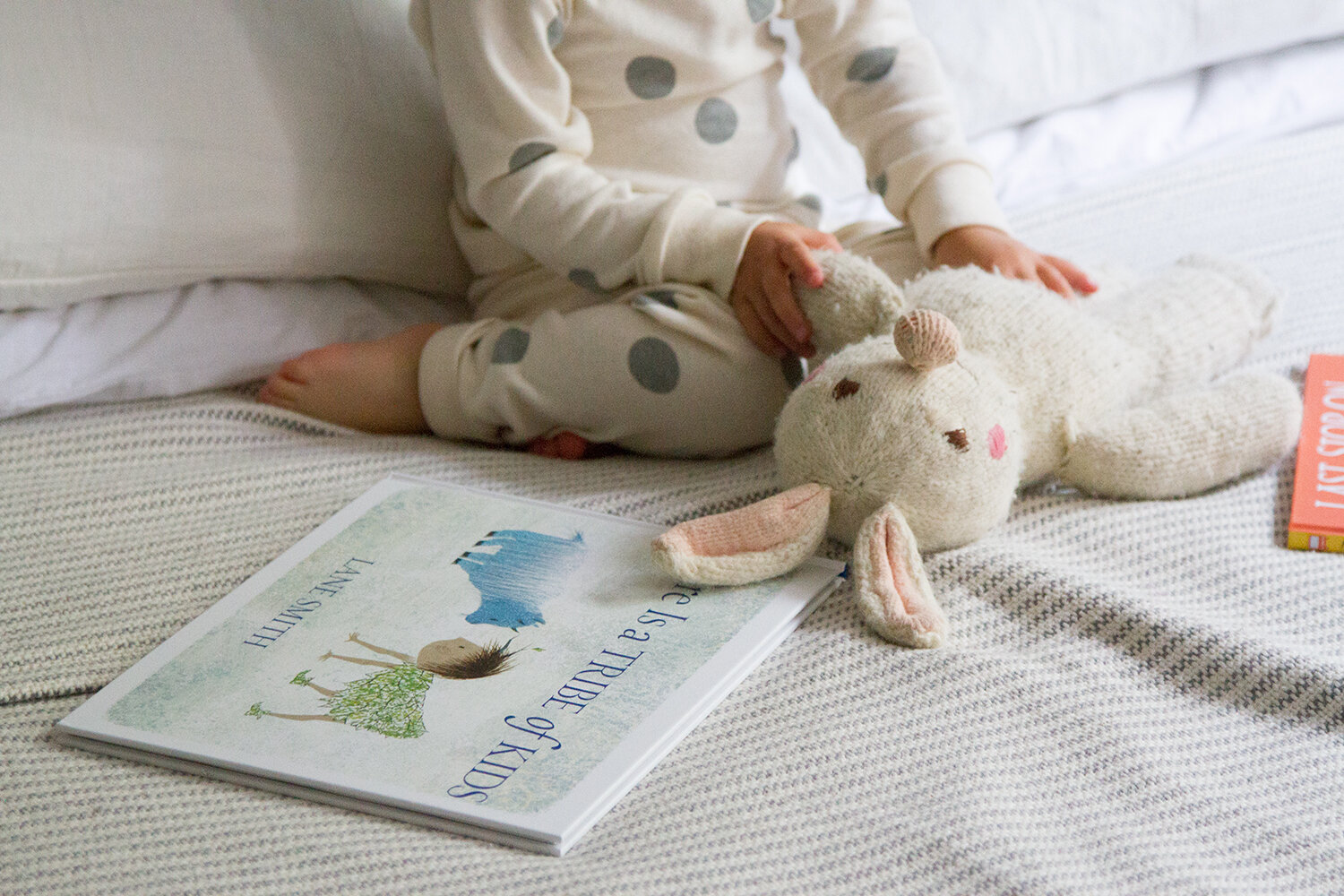 favorite children's book of the moment | reading my tea leaves