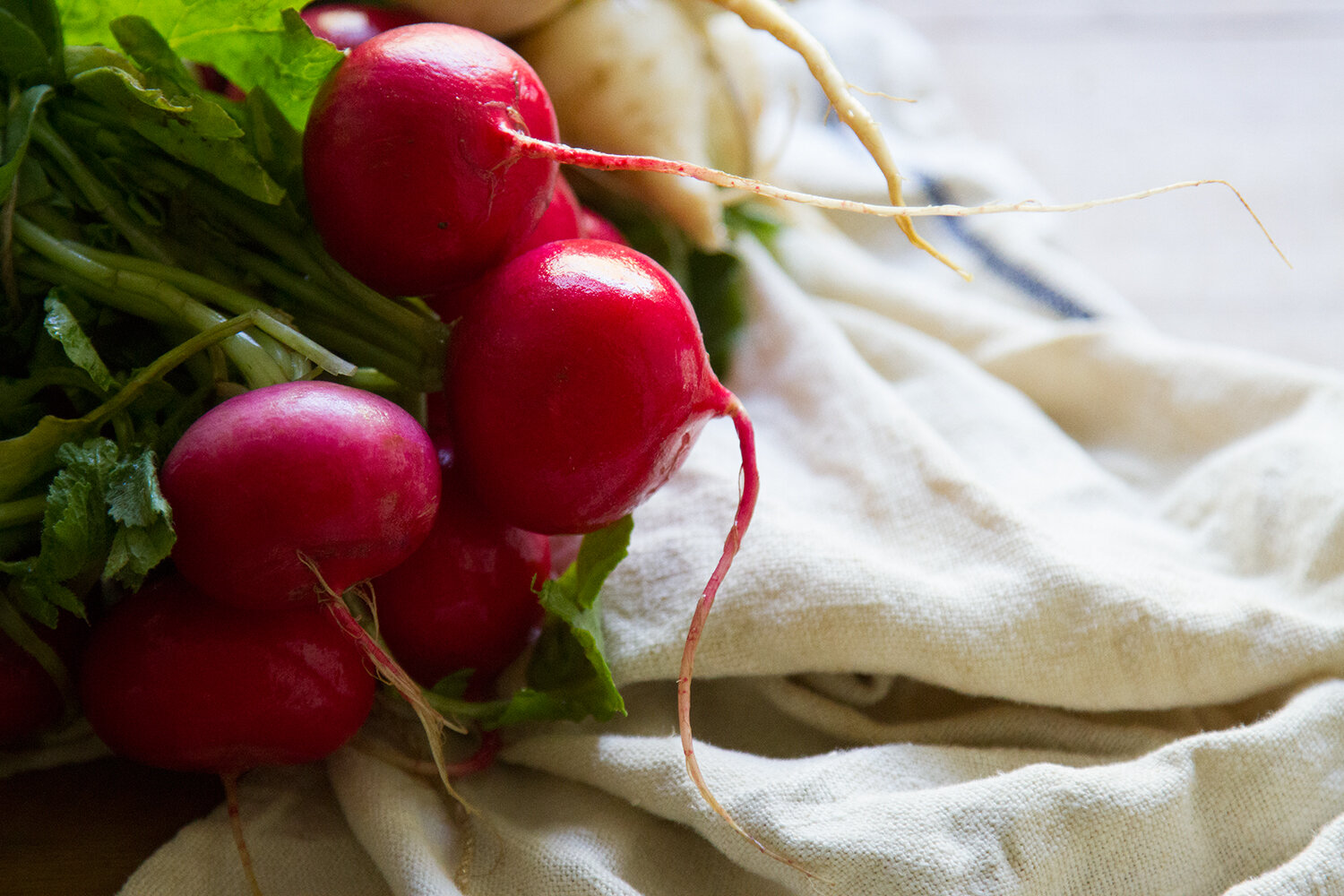 make your own pickled radishes | reading my tea leaves