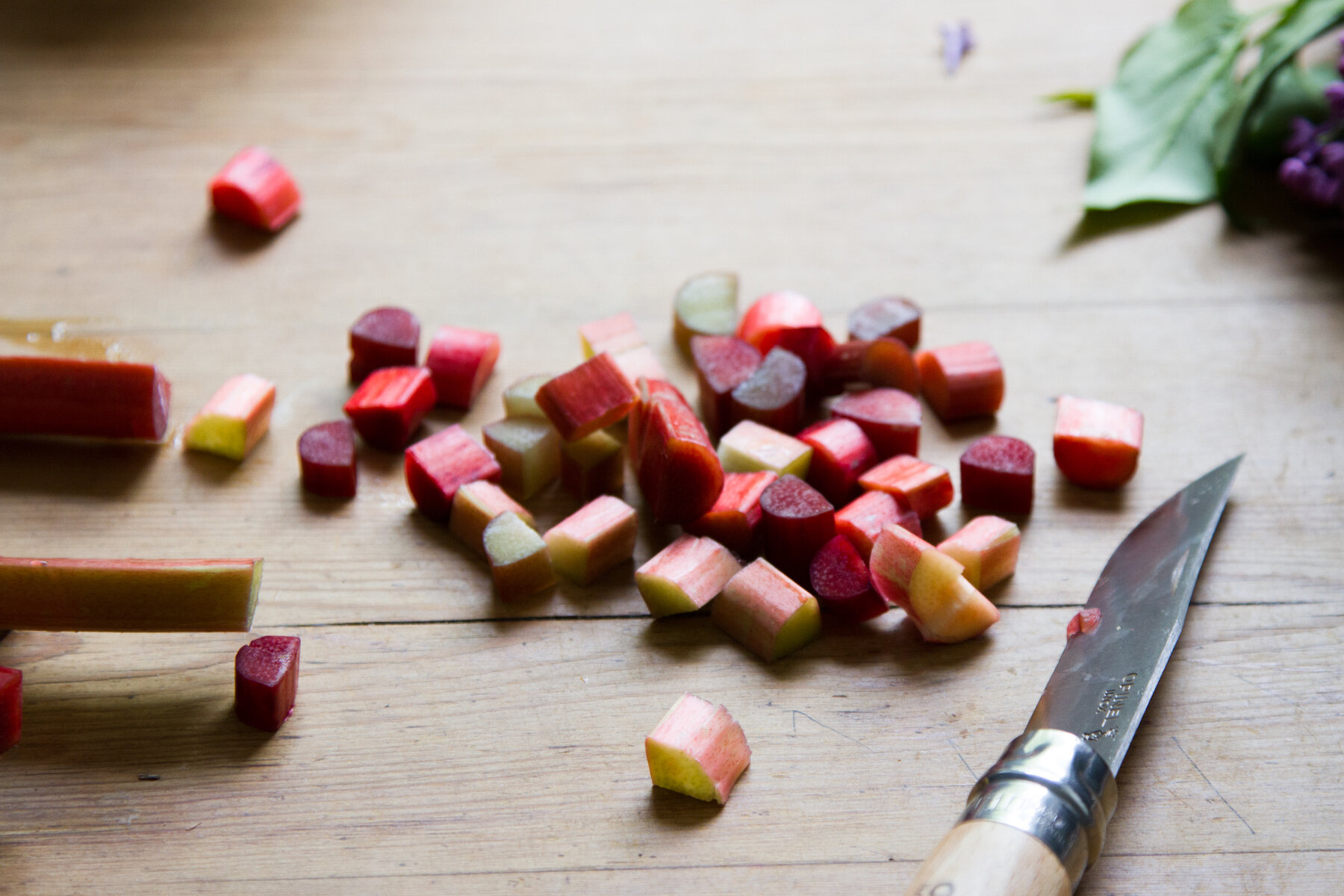 rhubarb and lilac spritzer | reading my tea leaves