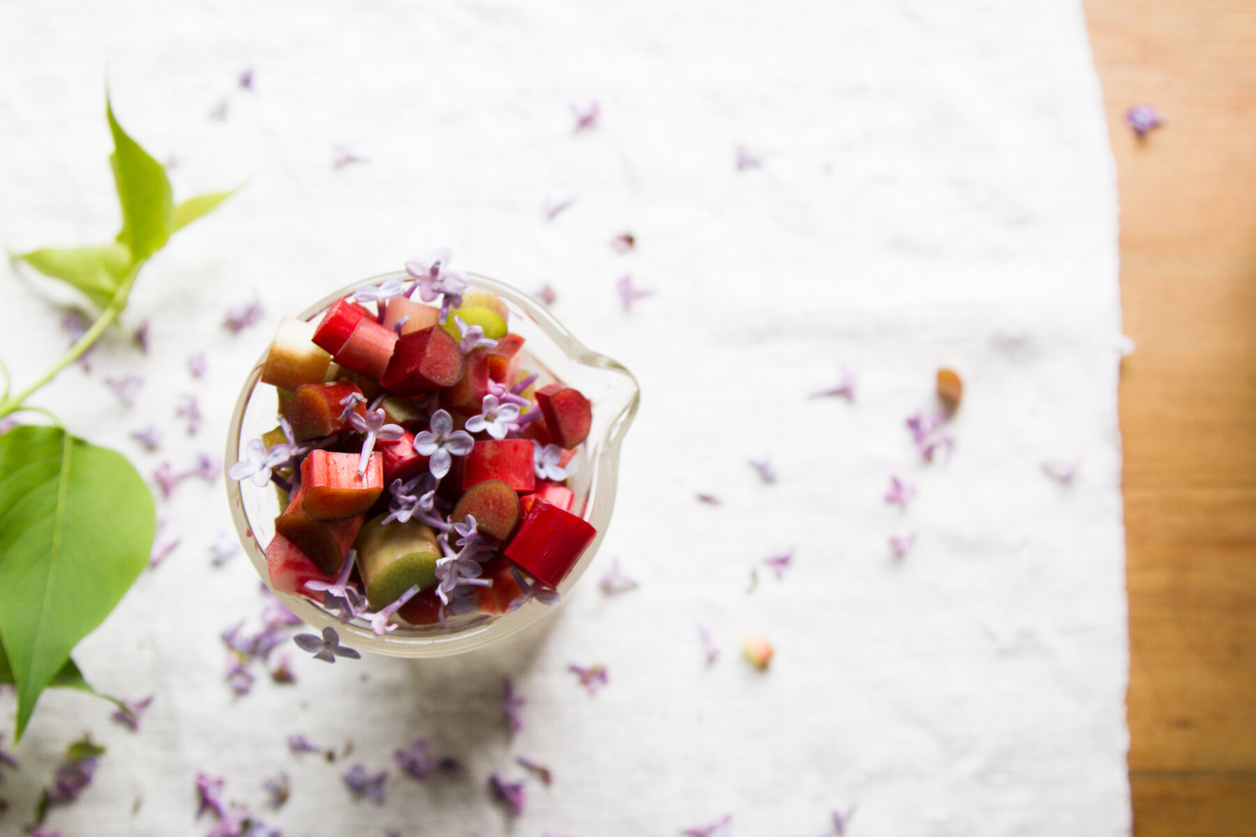 rhubarb and lilac spritzer | reading my tea leaves
