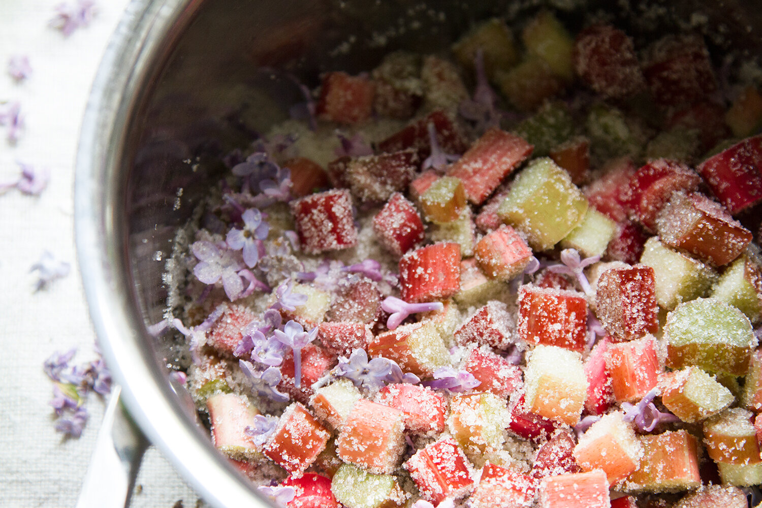 rhubarb and lilac spritzer | reading my tea leaves
