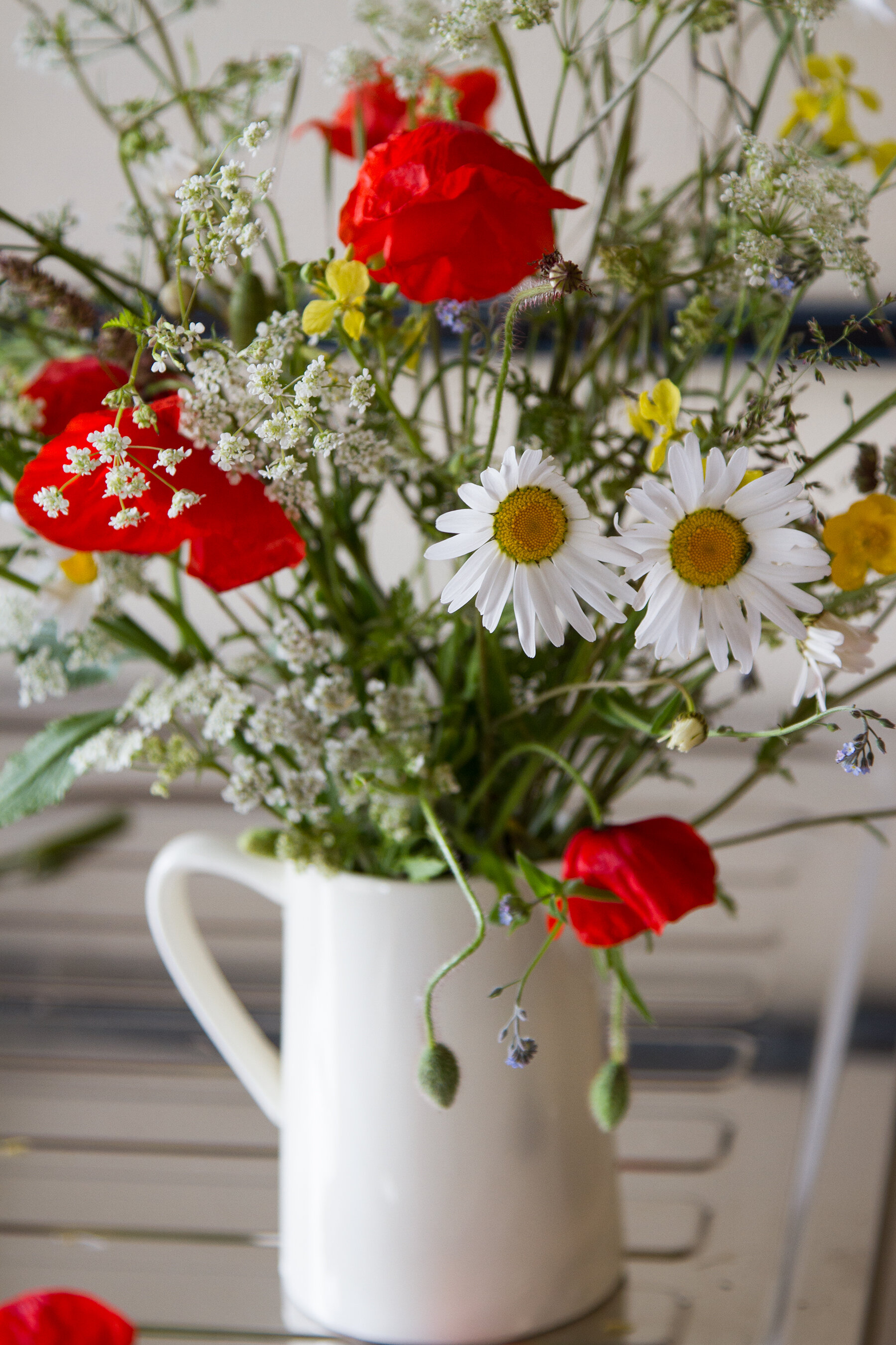 roadside flowers in brittany | reading my tea leaves