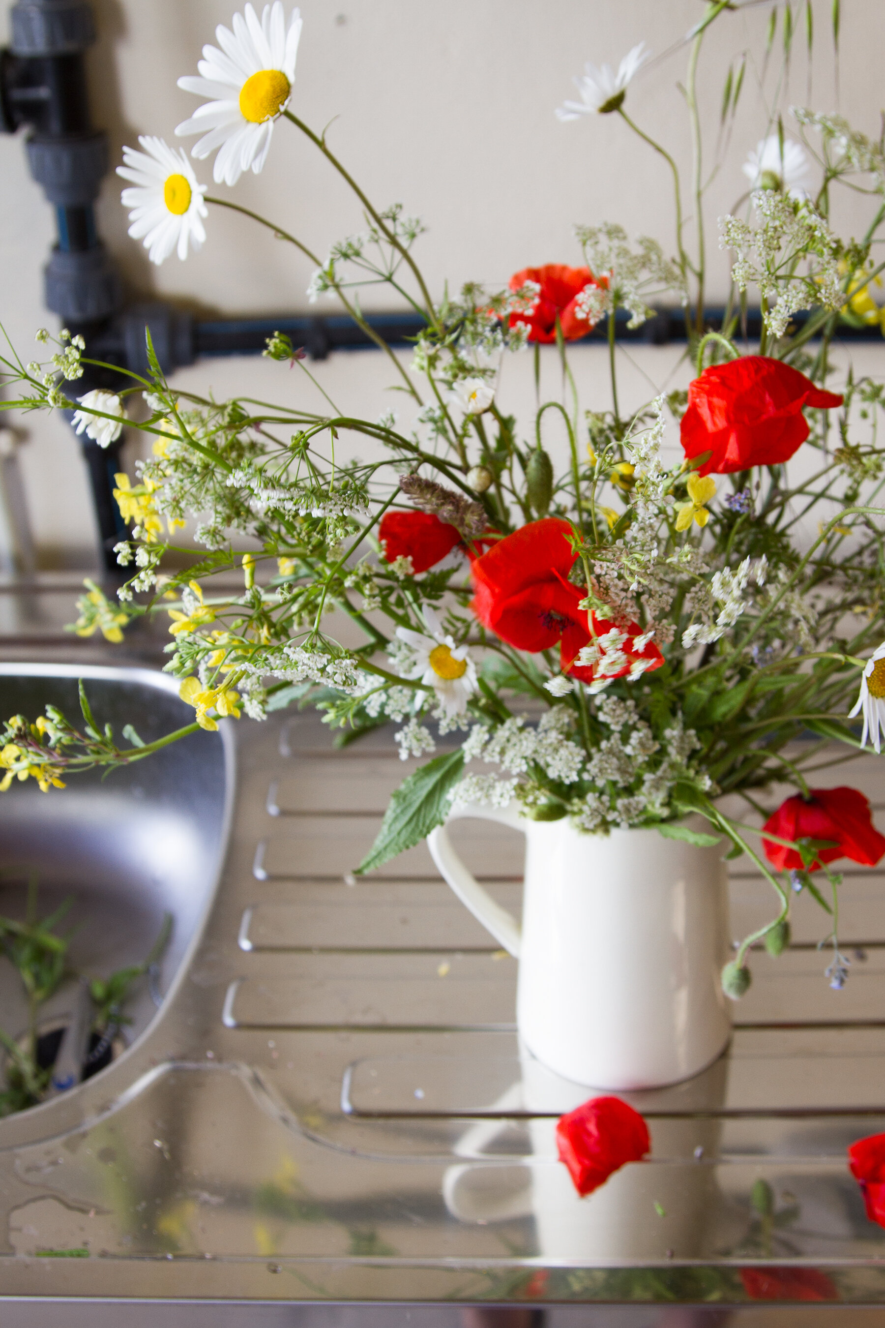 roadside flowers in brittany | reading my tea leaves