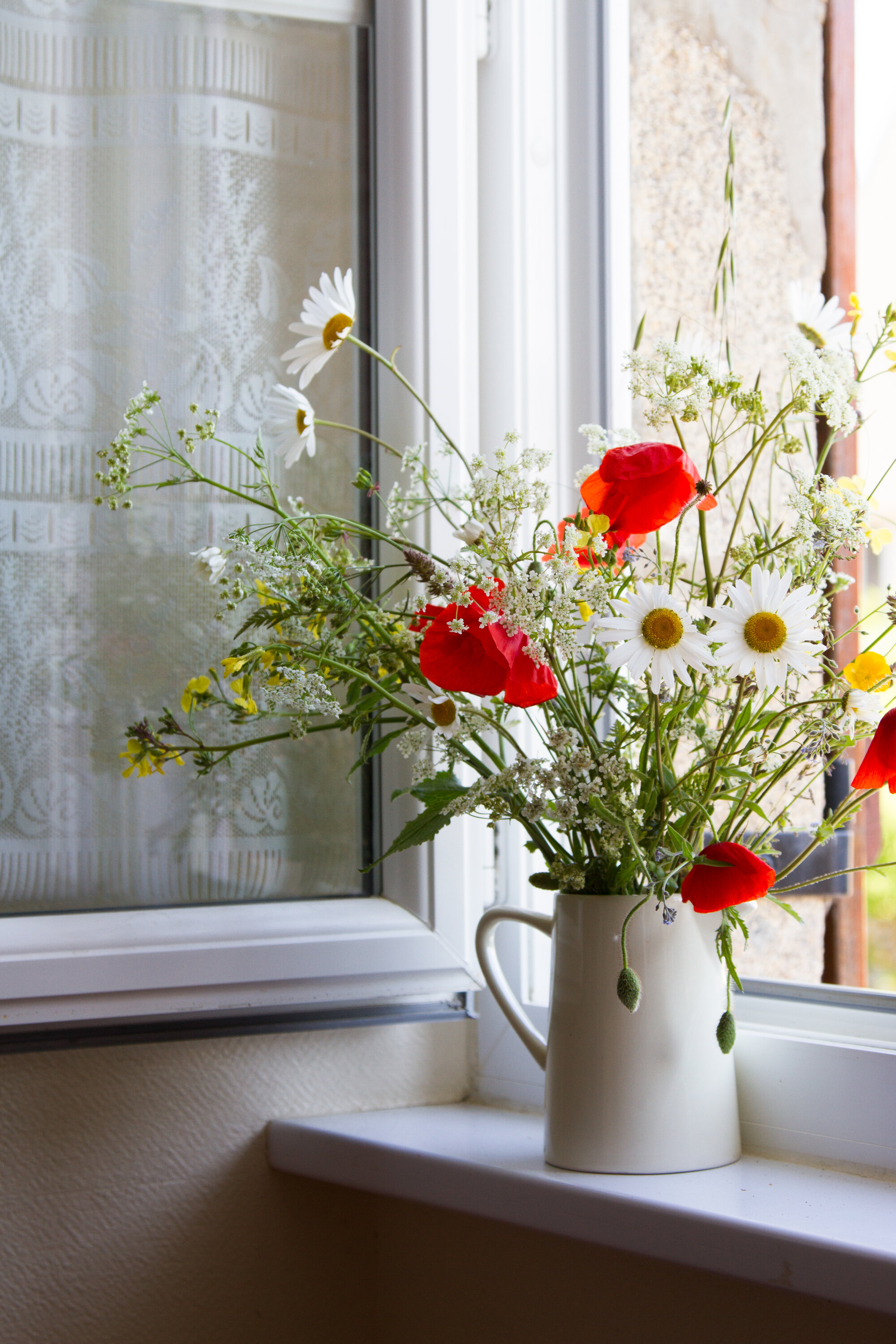 roadside flowers in brittany | reading my tea leaves