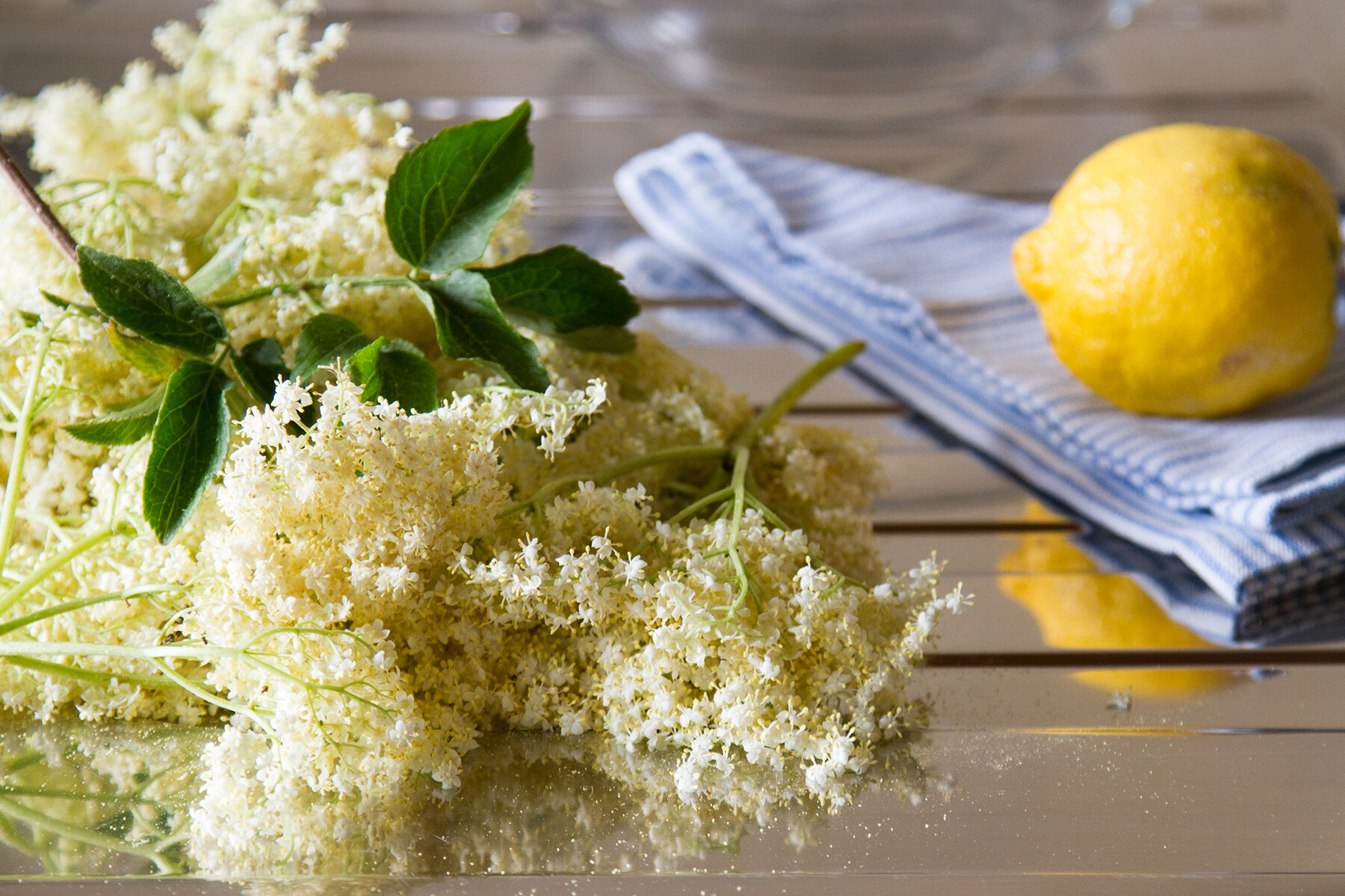 elderflower cordial | reading my tea leaves