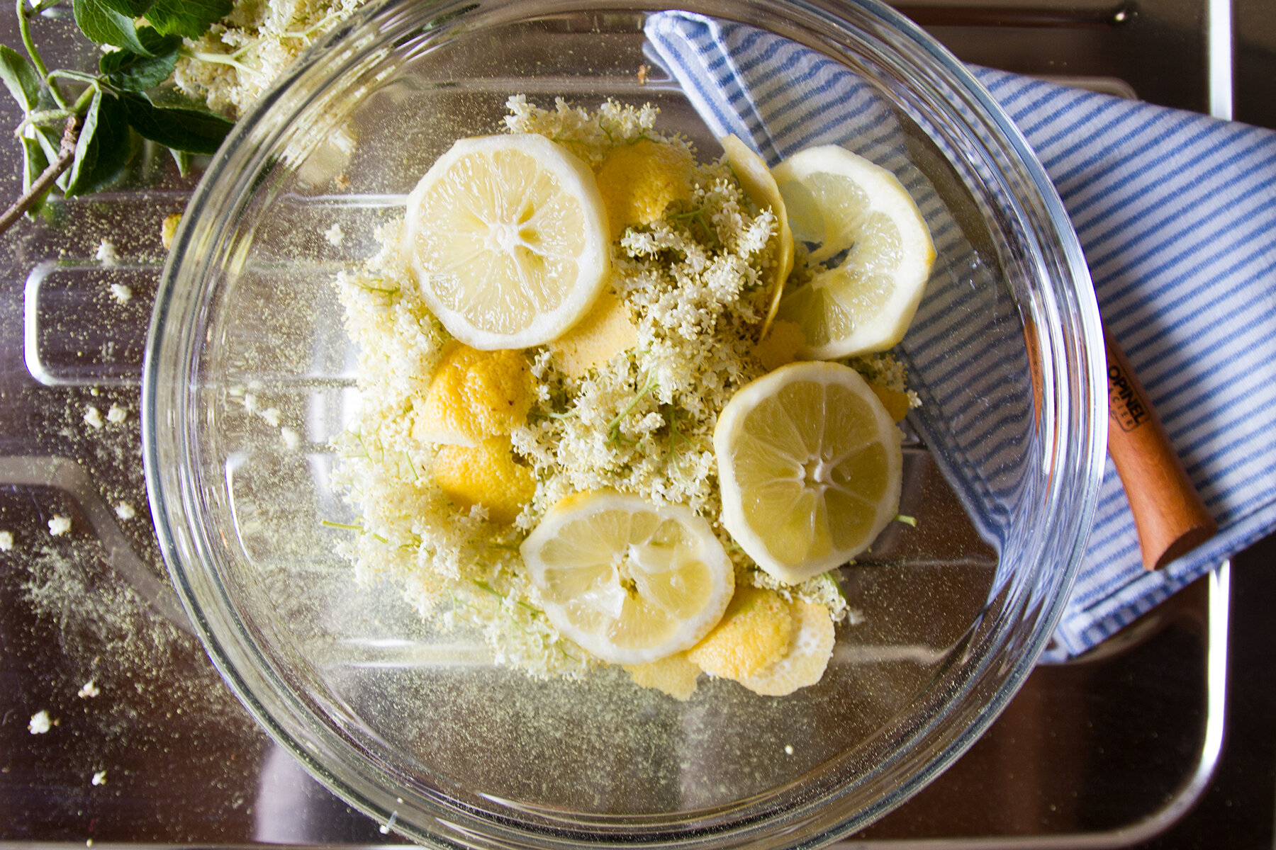 elderflower cordial | reading my tea leaves