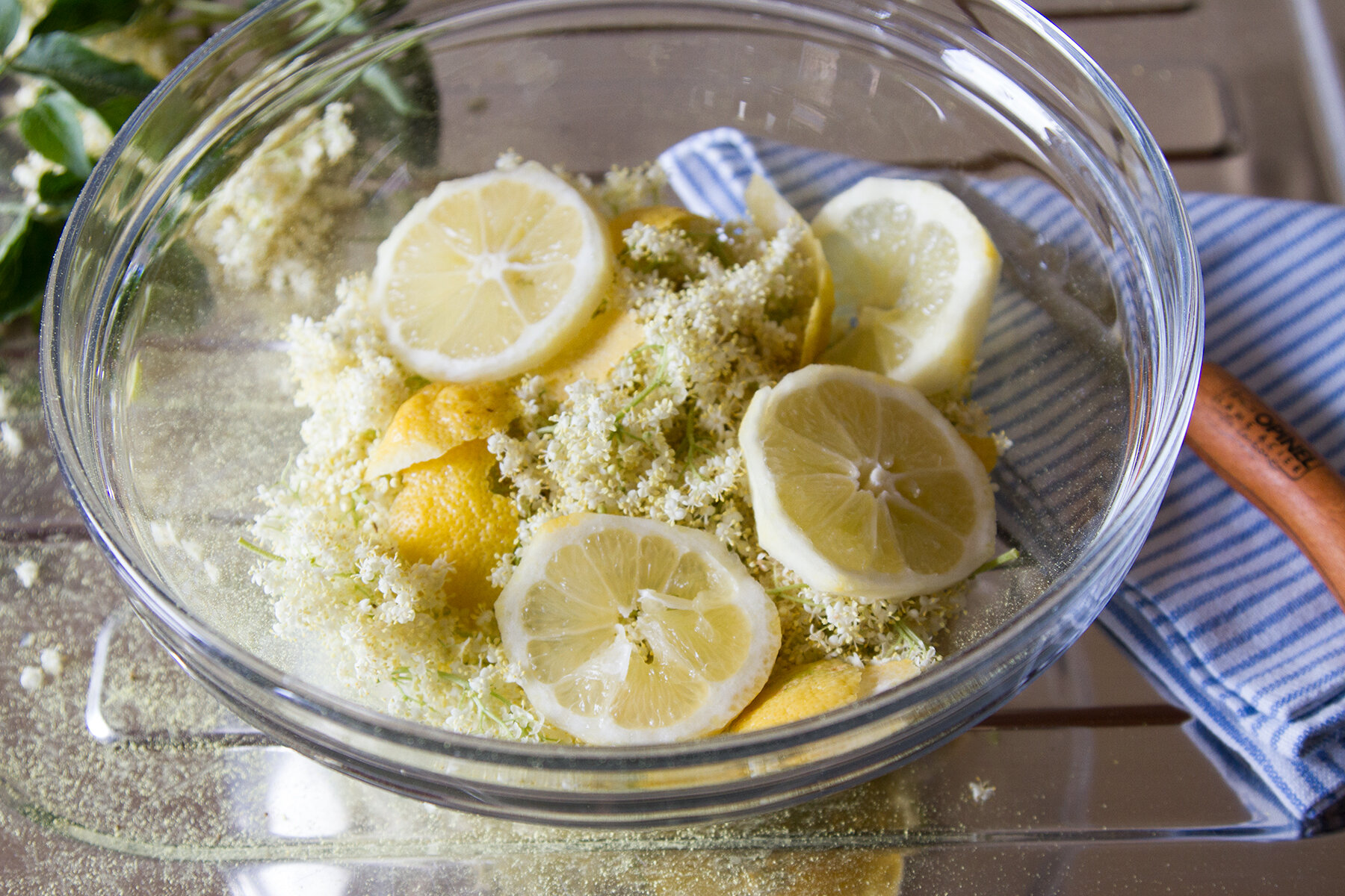elderflower_reading_my_tea_leaves_IMG_0699