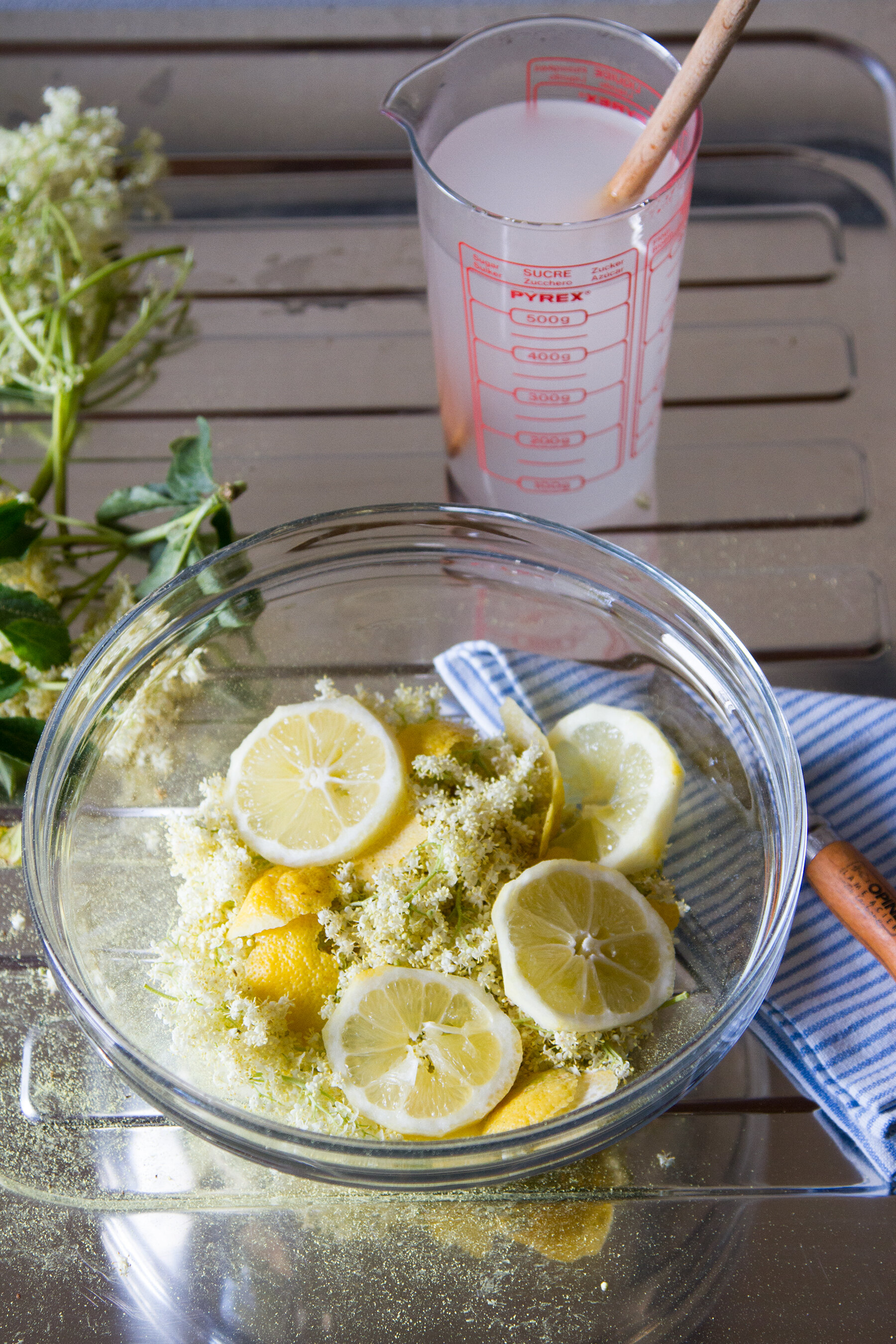 elderflower cordial | reading my tea leaves