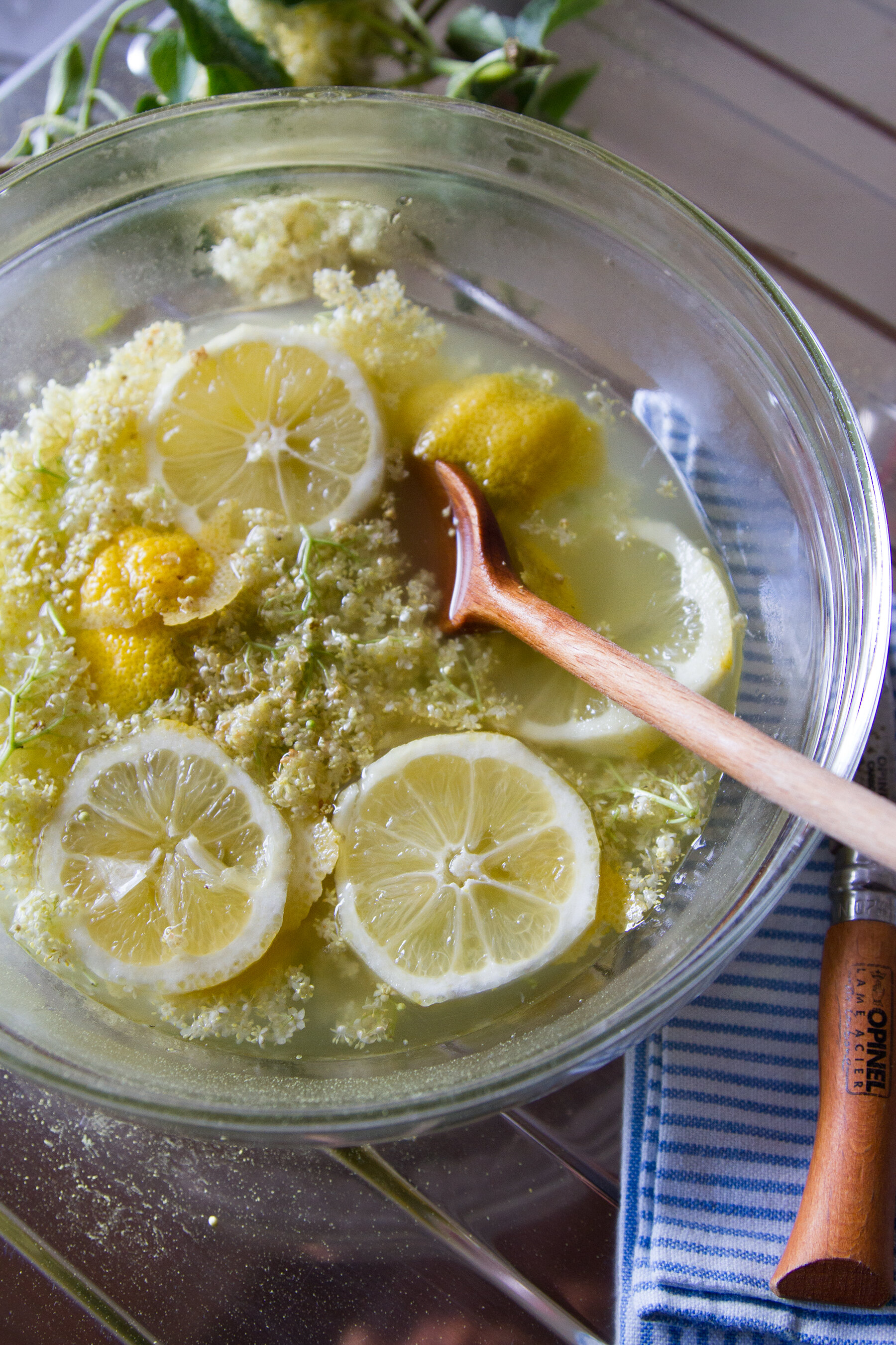 elderflower cordial | reading my tea leaves