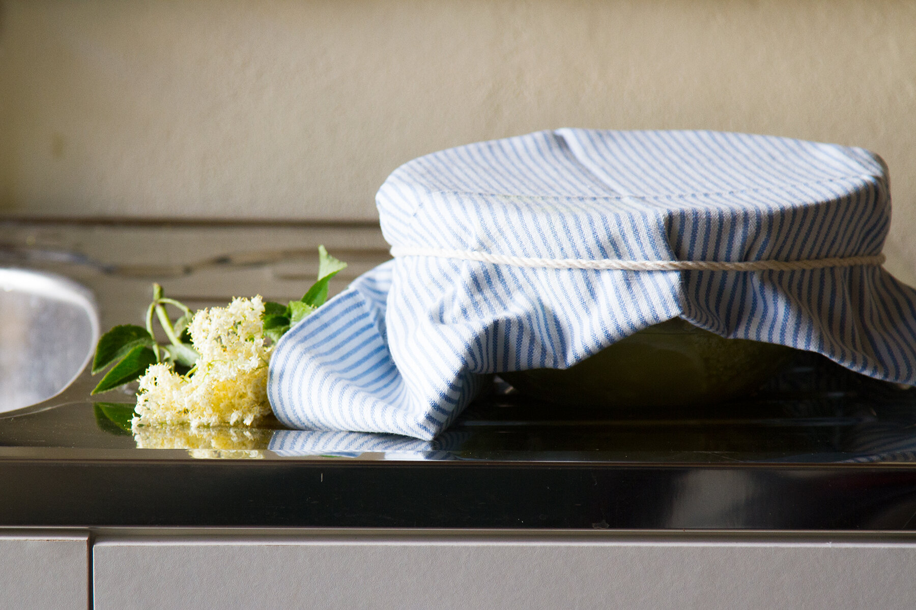 elderflower cordial | reading my tea leaves