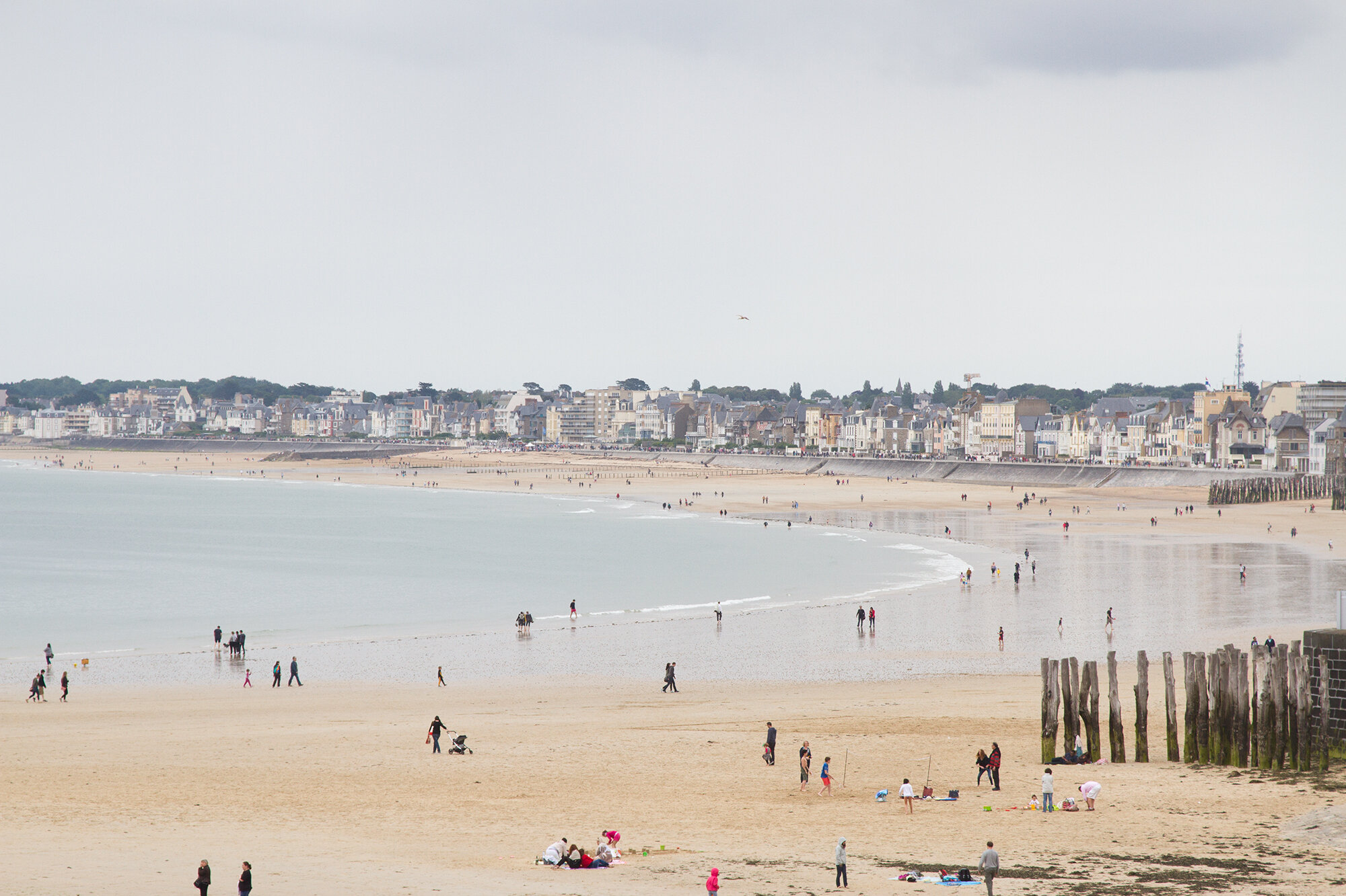 st_malo_reading_my_tea_leaves_IMG_1373