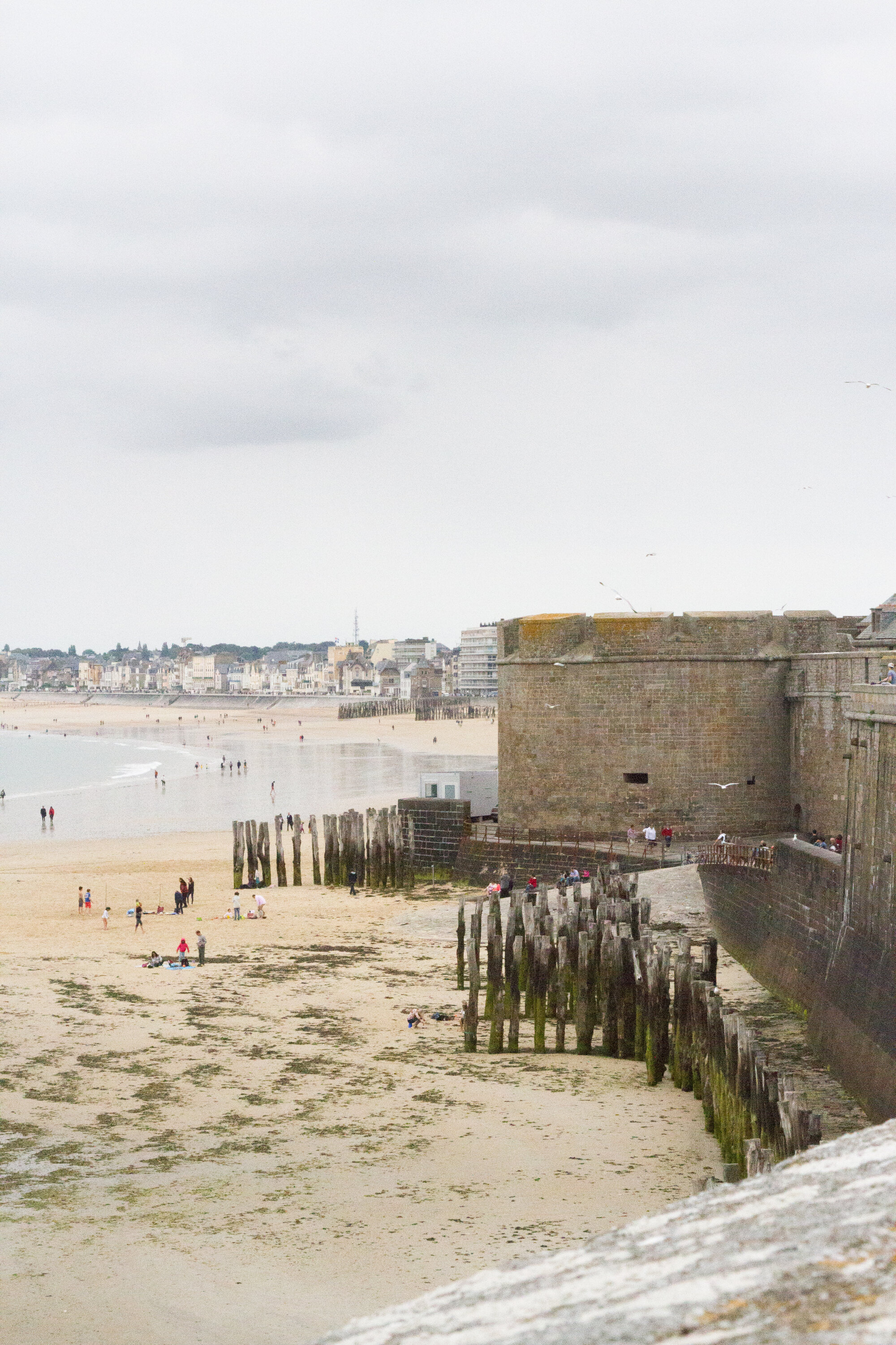 st_malo_reading_my_tea_leaves_IMG_1376