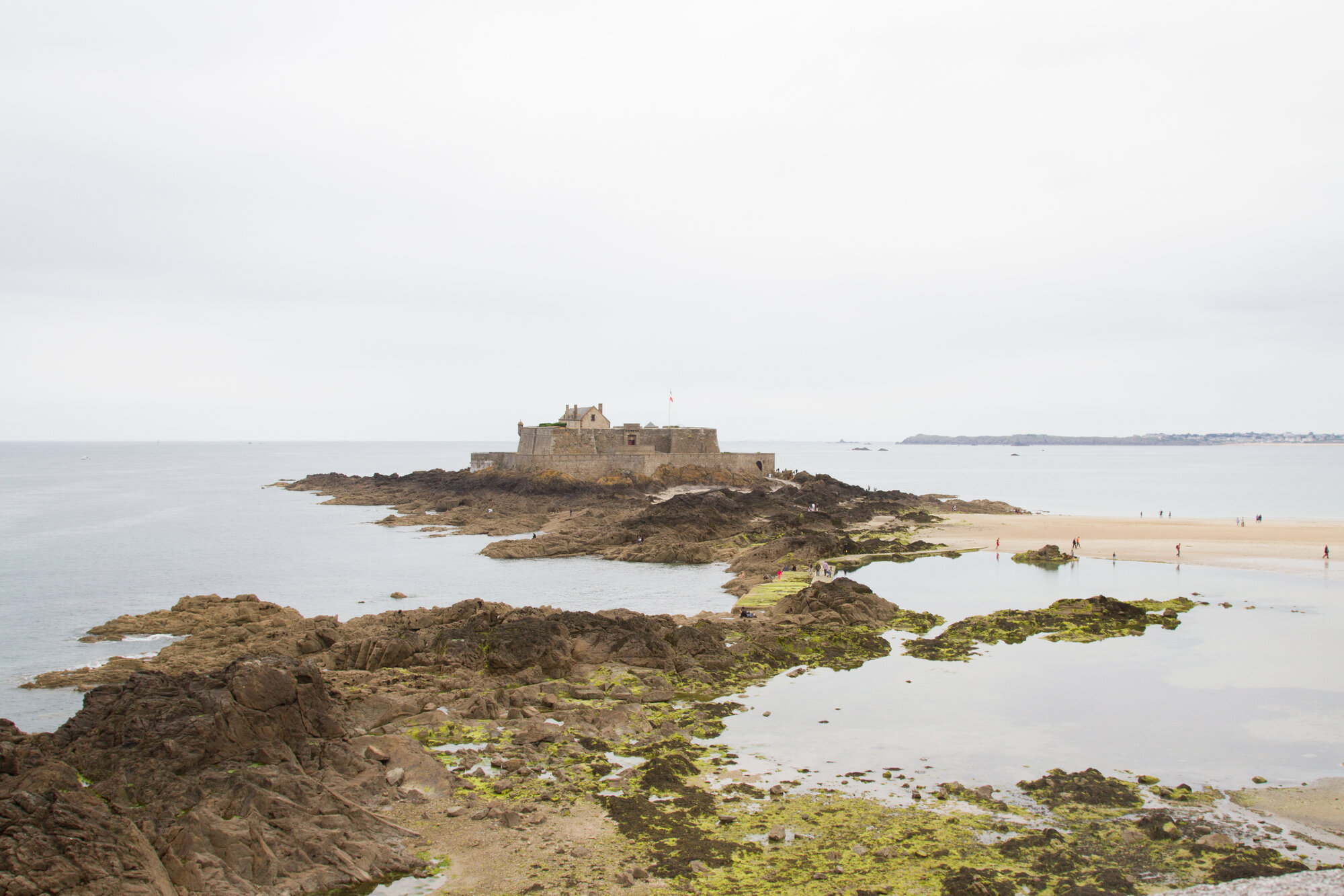 st_malo_reading_my_tea_leaves_IMG_1388