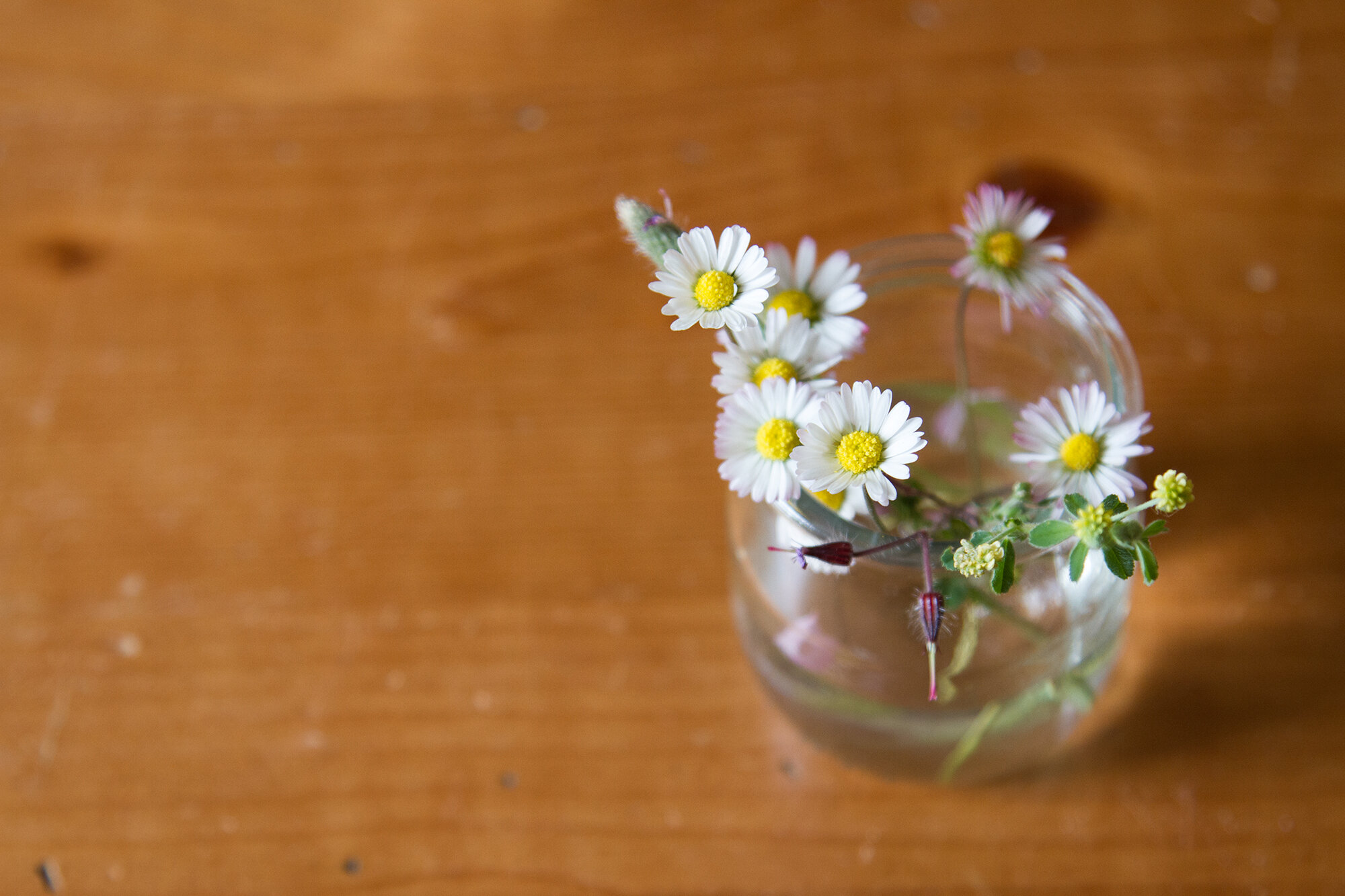 yogurt_jar_reading_my_tea_leaves_IMG_1189