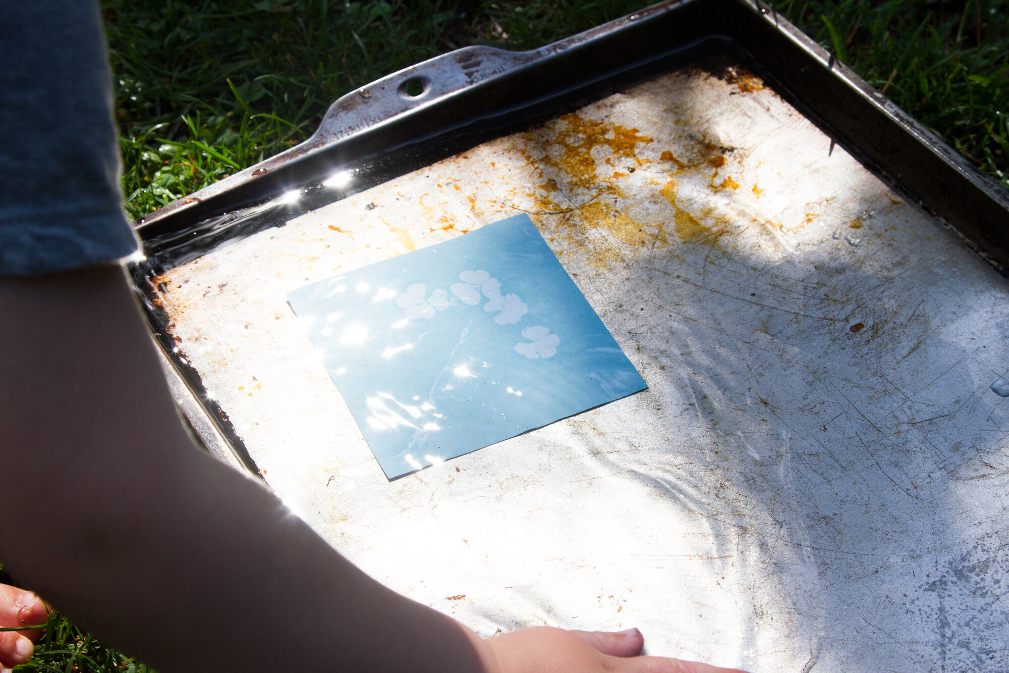 sunprints | reading my tea leaves