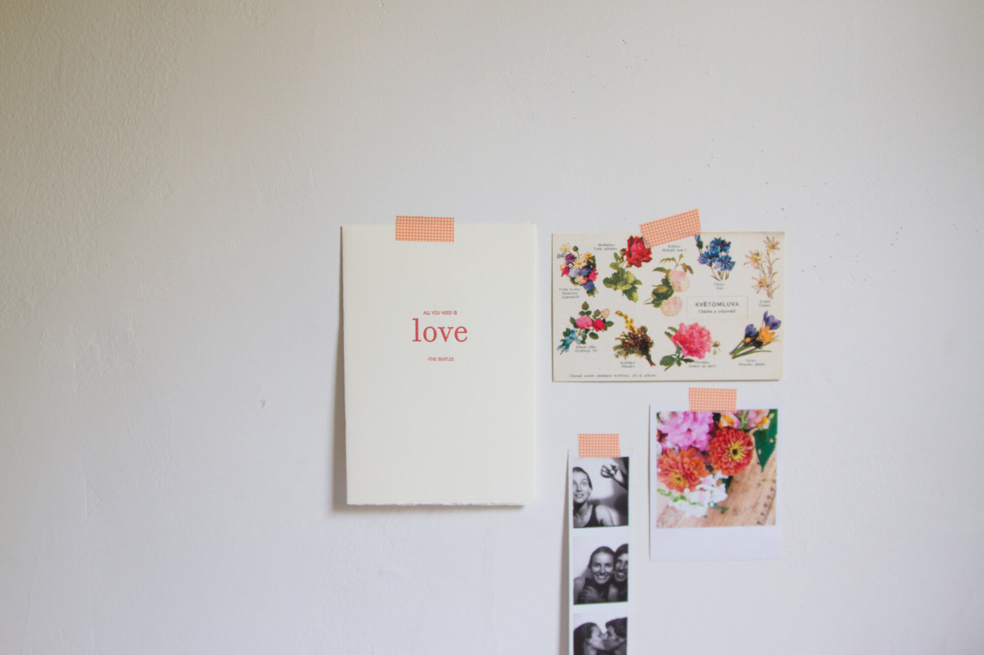 dorm room decor | life in a tiny apartment |reading my tea leaves