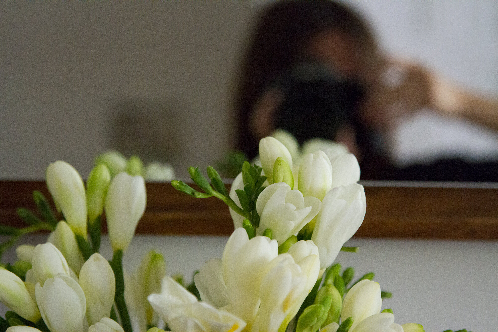 freesia_reading_my_tea_leaves_IMG_2294