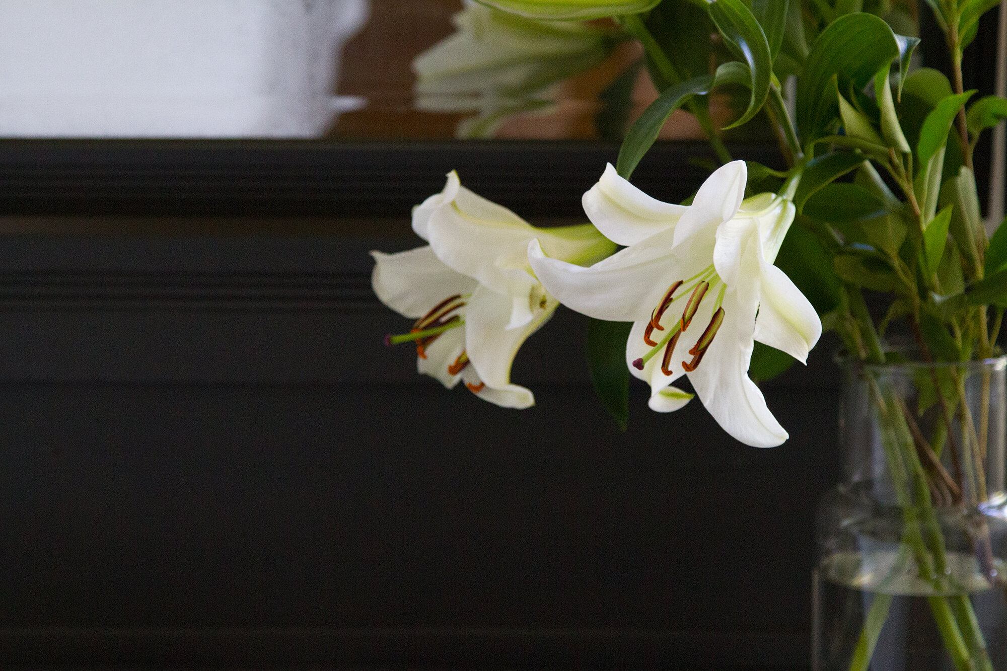 lilies_reading_my_tea_leaves_IMG_2285
