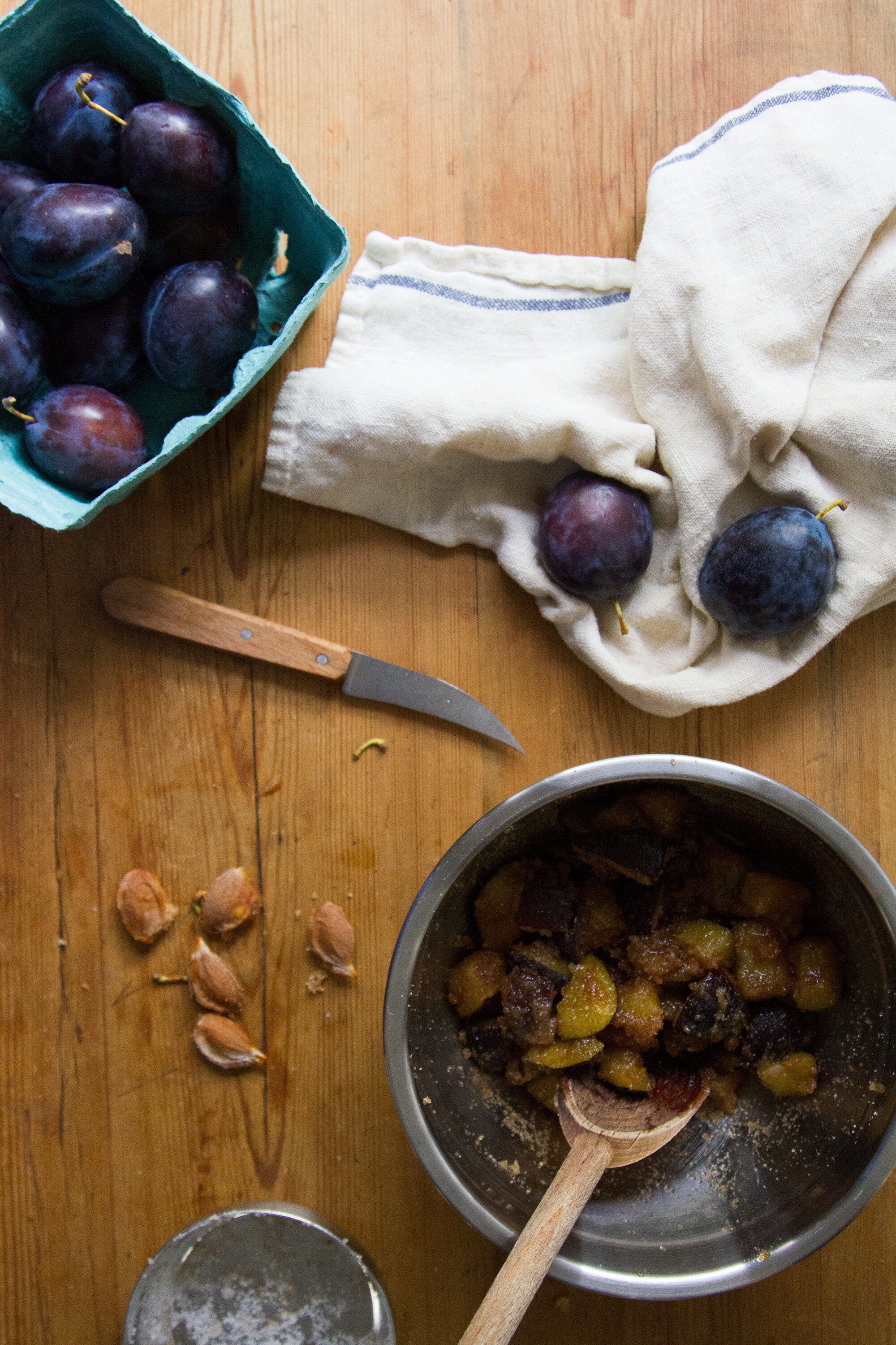 plum shrub | reading my tea leaves