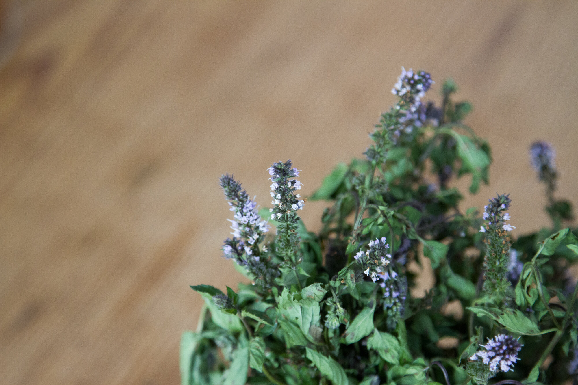 peppermint