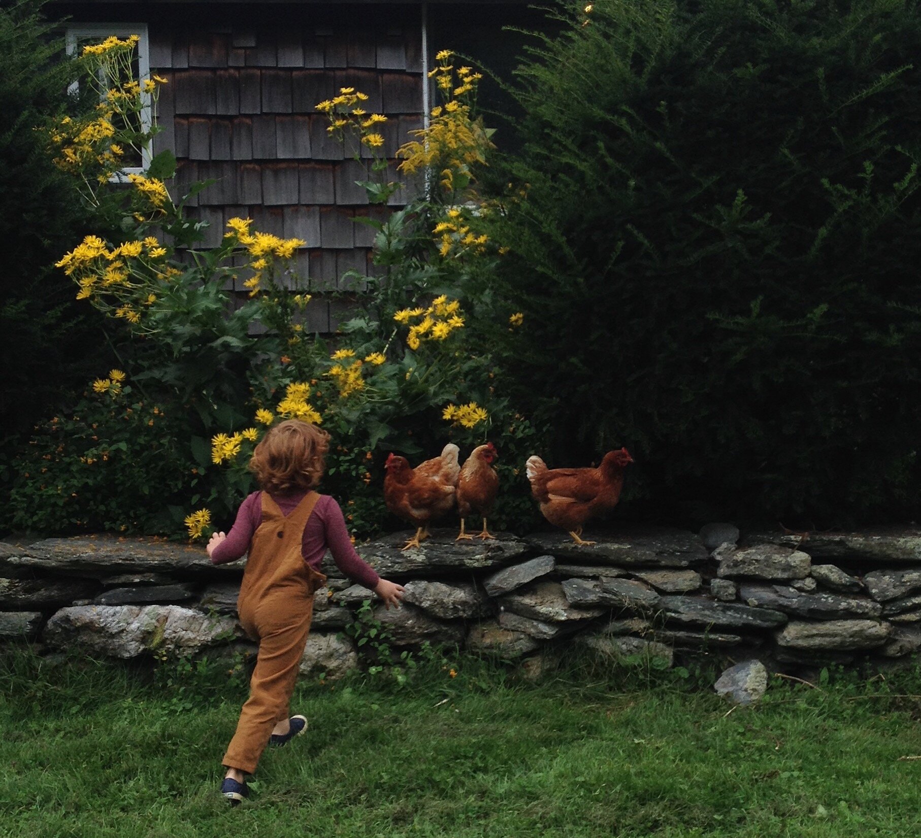 simple matters: jessica lewis stevens | reading my tea leaves