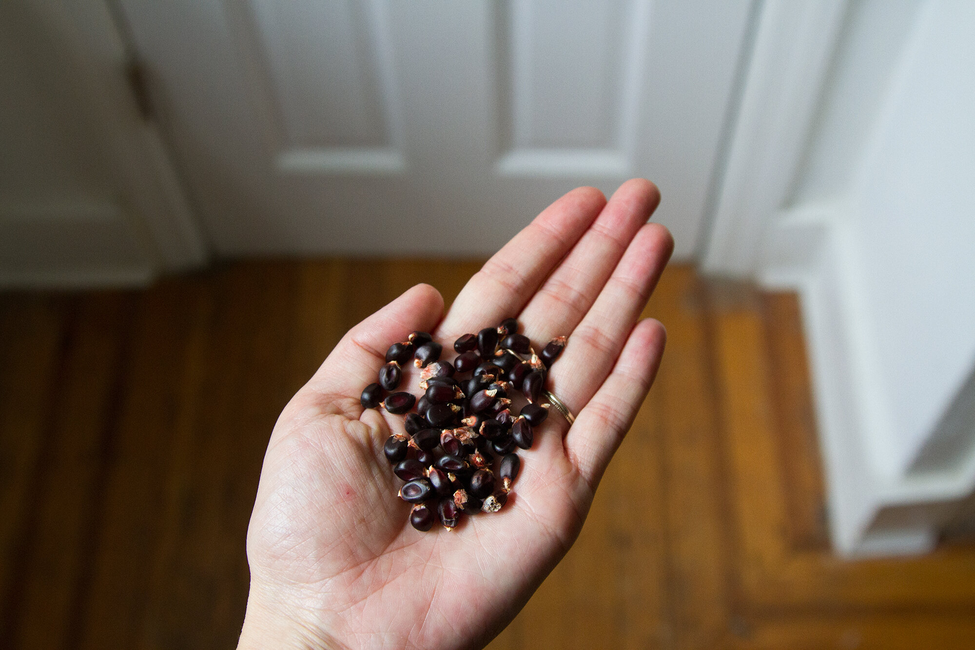popcorn_reading_my_tea_leavesimg_5110