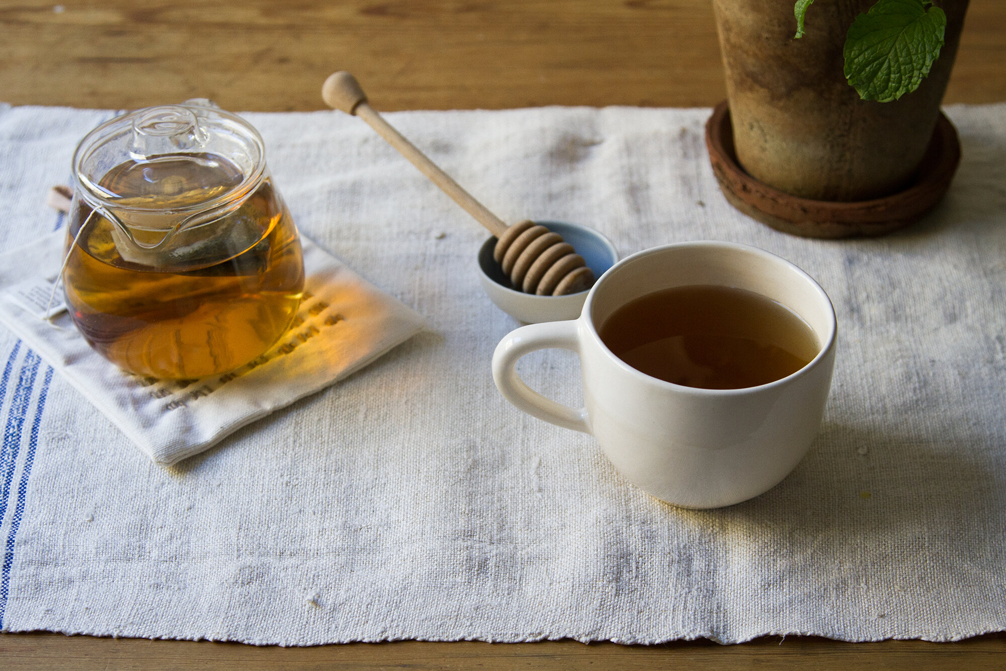sponsored post with traditional medicinals | reading my tea leaves