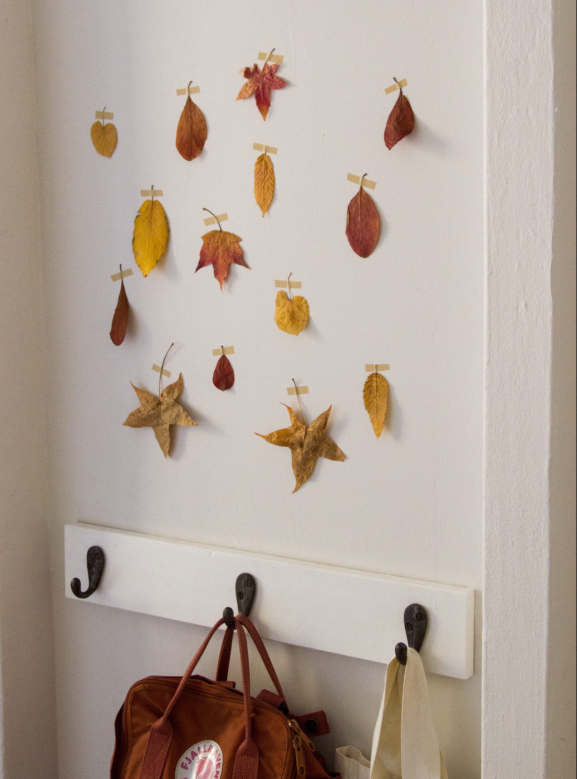 zero-waste fall decorations | reading my tea leaves