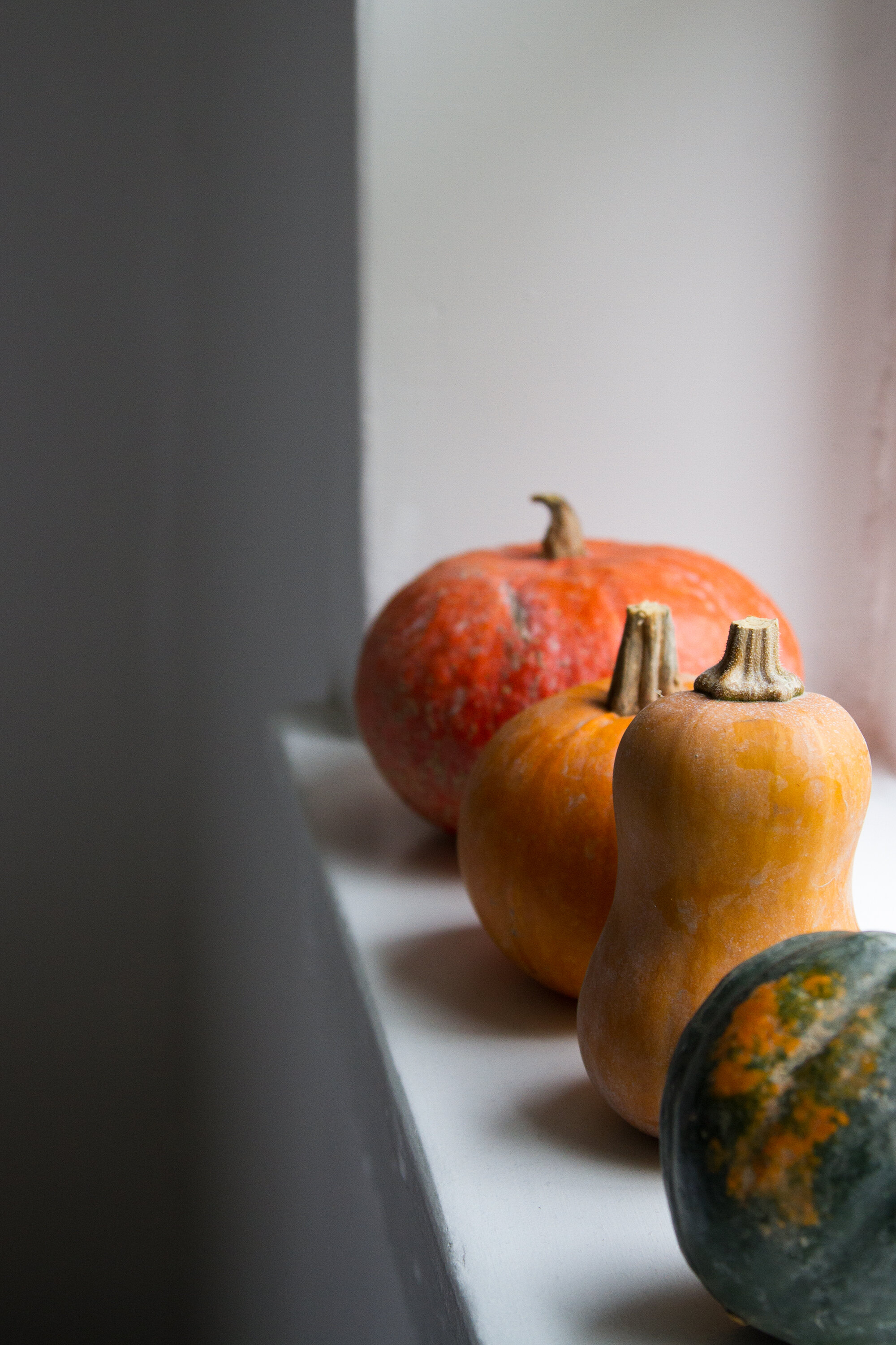 zero-waste fall decorations | reading my tea leaves
