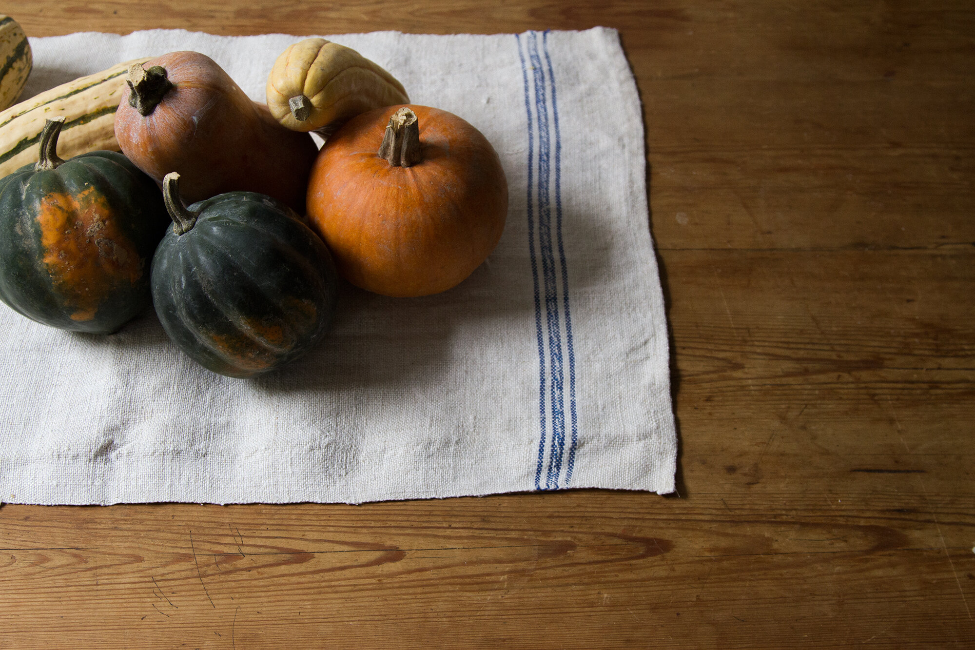 zero-waste fall decorations | reading my tea leaves