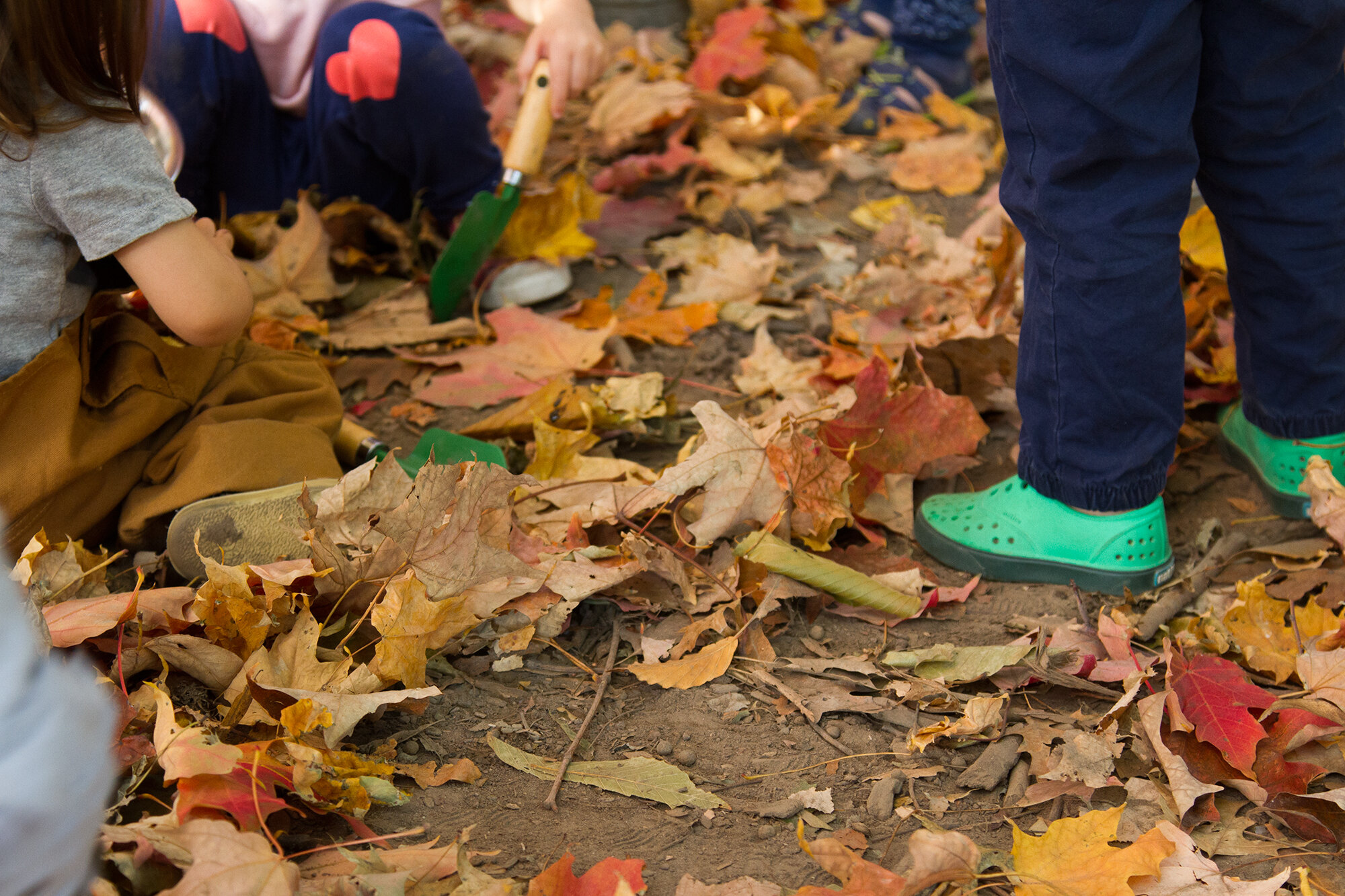 simple matters with joylynn holder of brooklyn forest school | reading my tea leaves