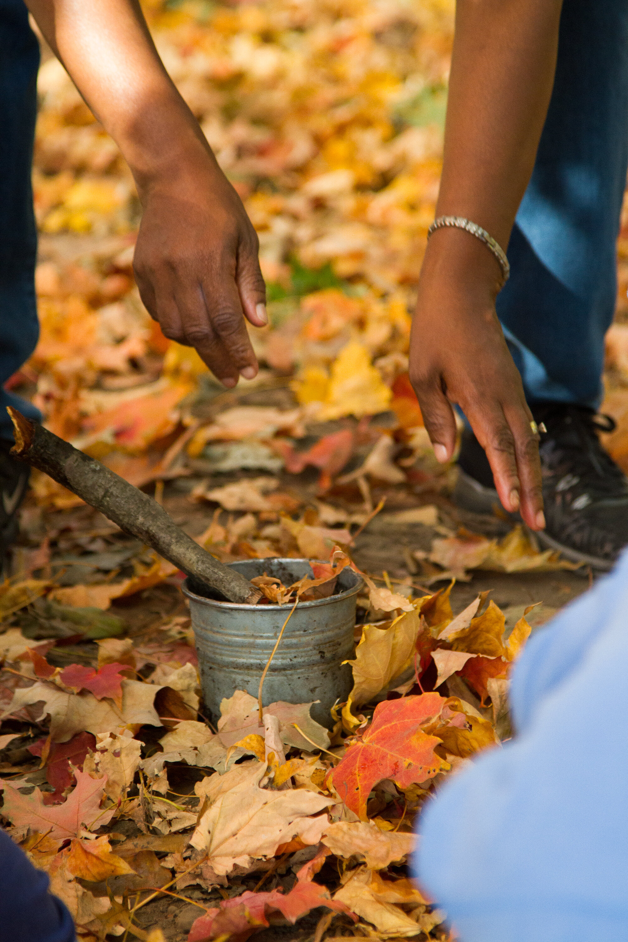 simple matters with joylynn holder of brooklyn forest school | reading my tea leaves