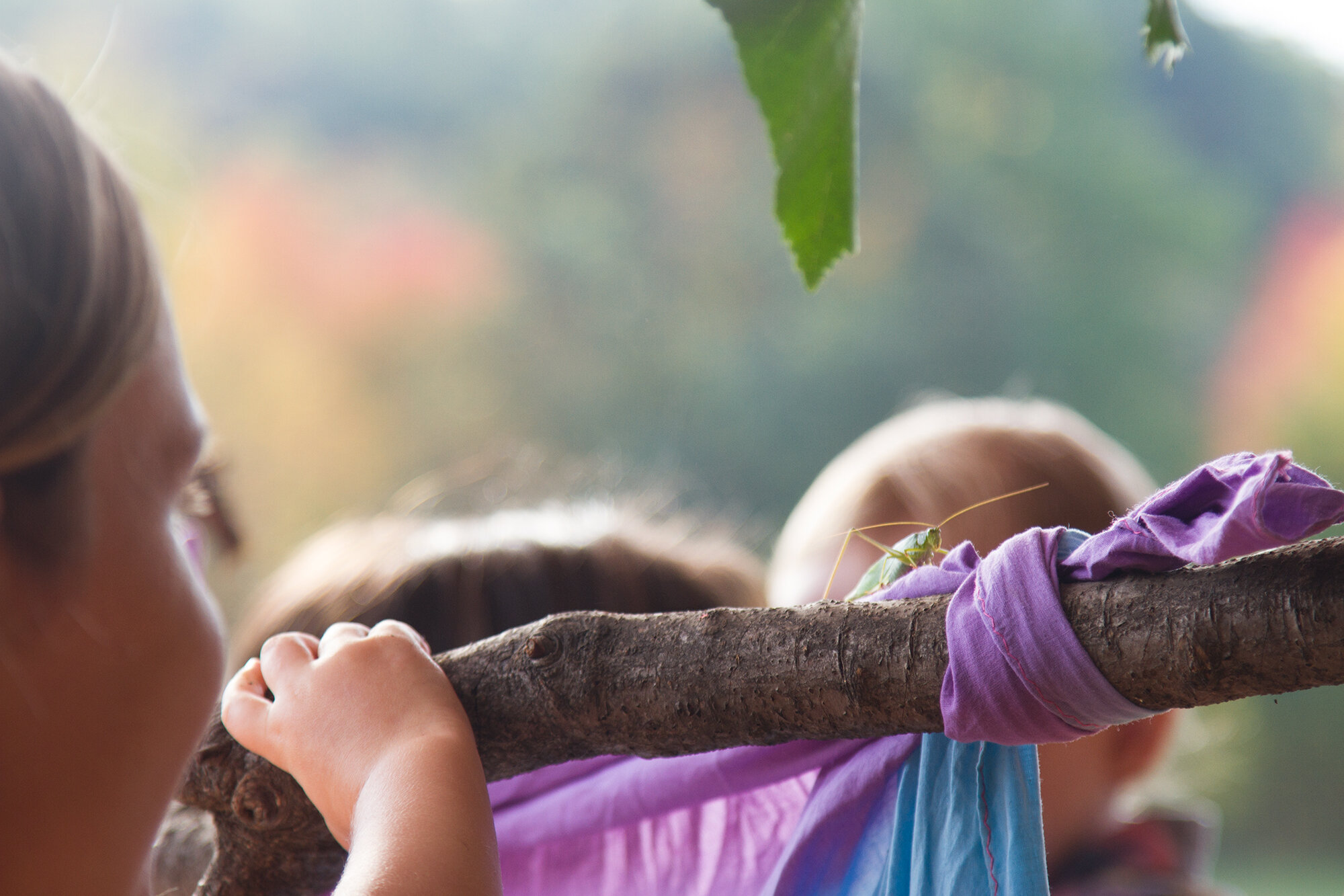 simple matters with joylynn holder of brooklyn forest school | reading my tea leaves