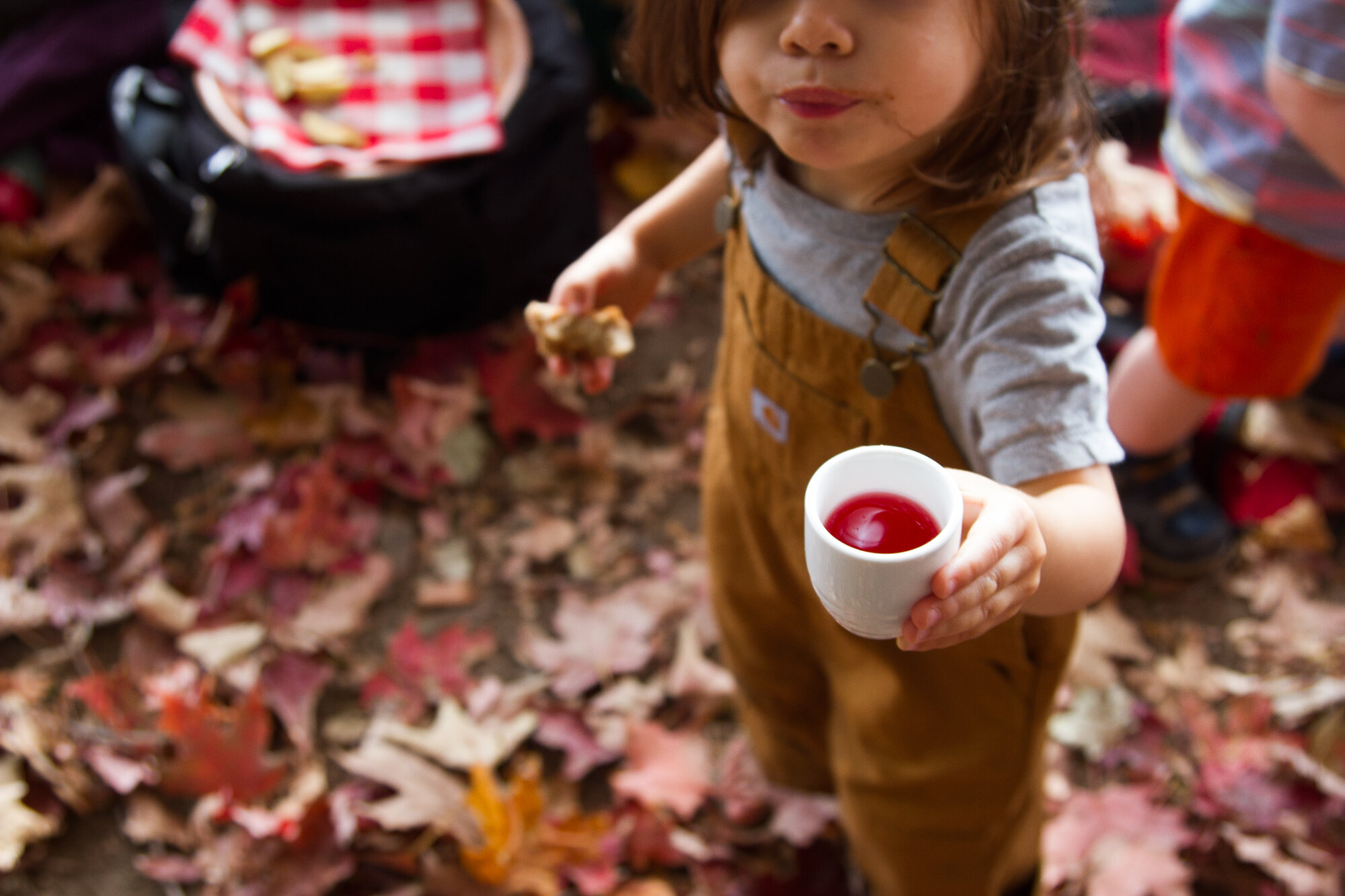 simple matters with joylynn holder of brooklyn forest school | reading my tea leaves