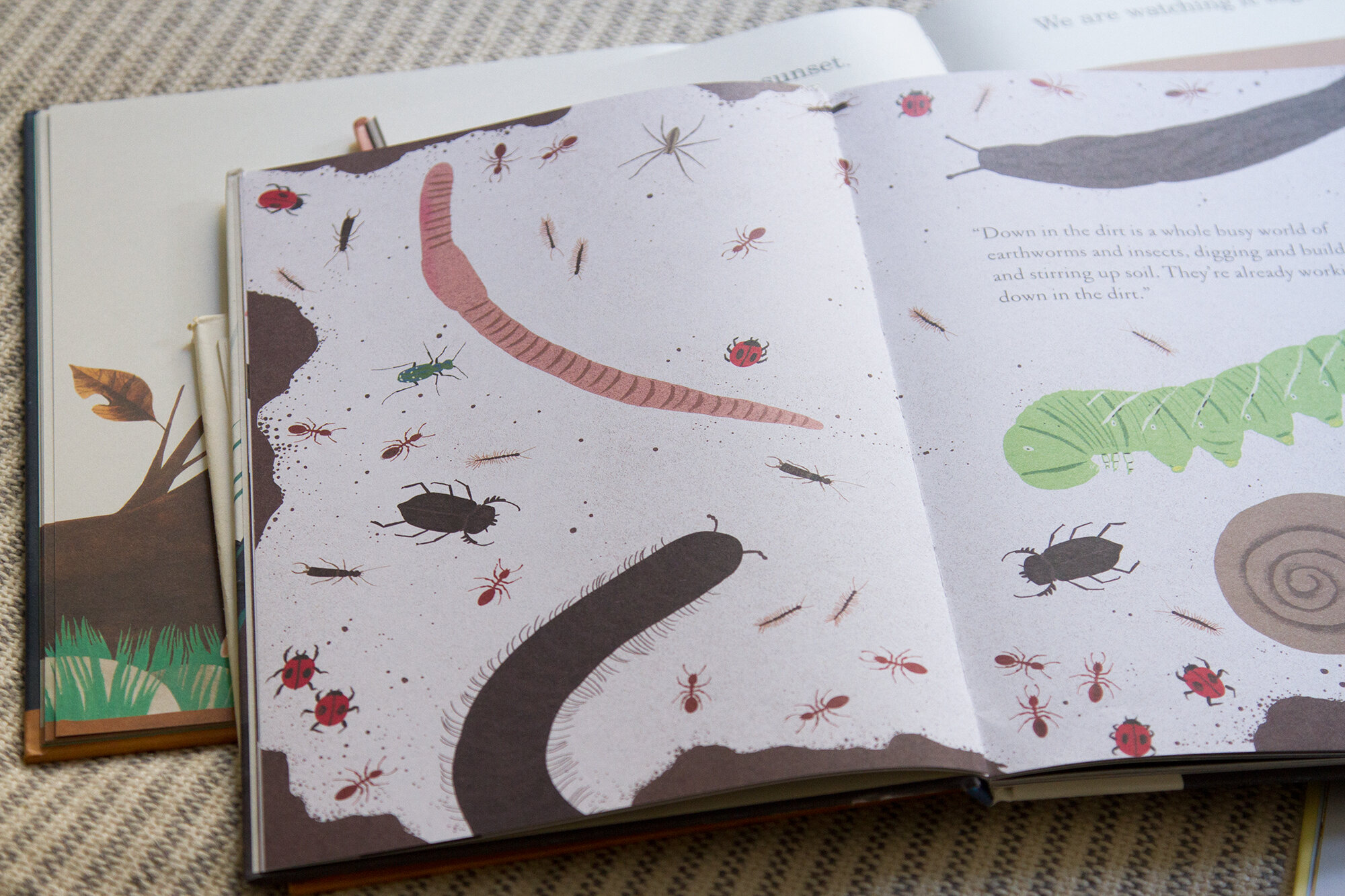 our favorite children's books lately | reading my tea leaves