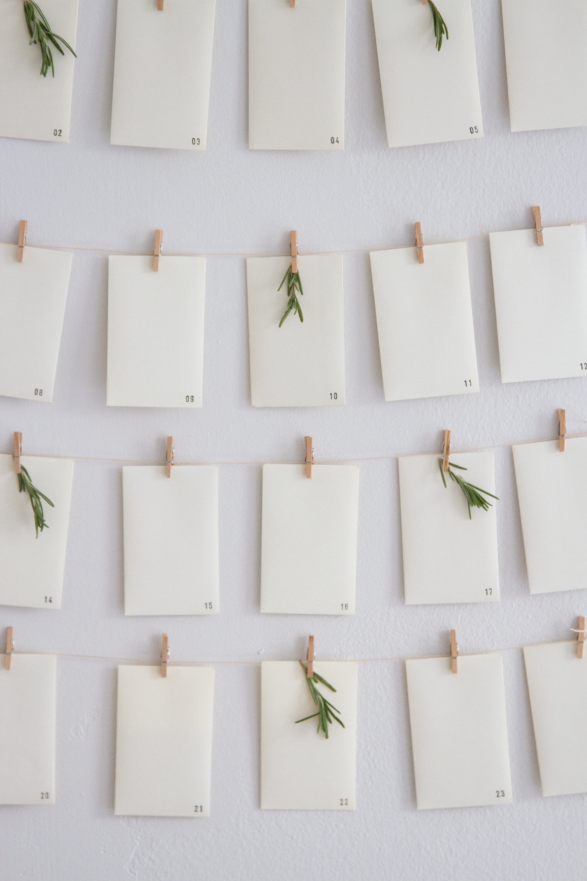 a peace and justice advent calendar | reading my tea leaves