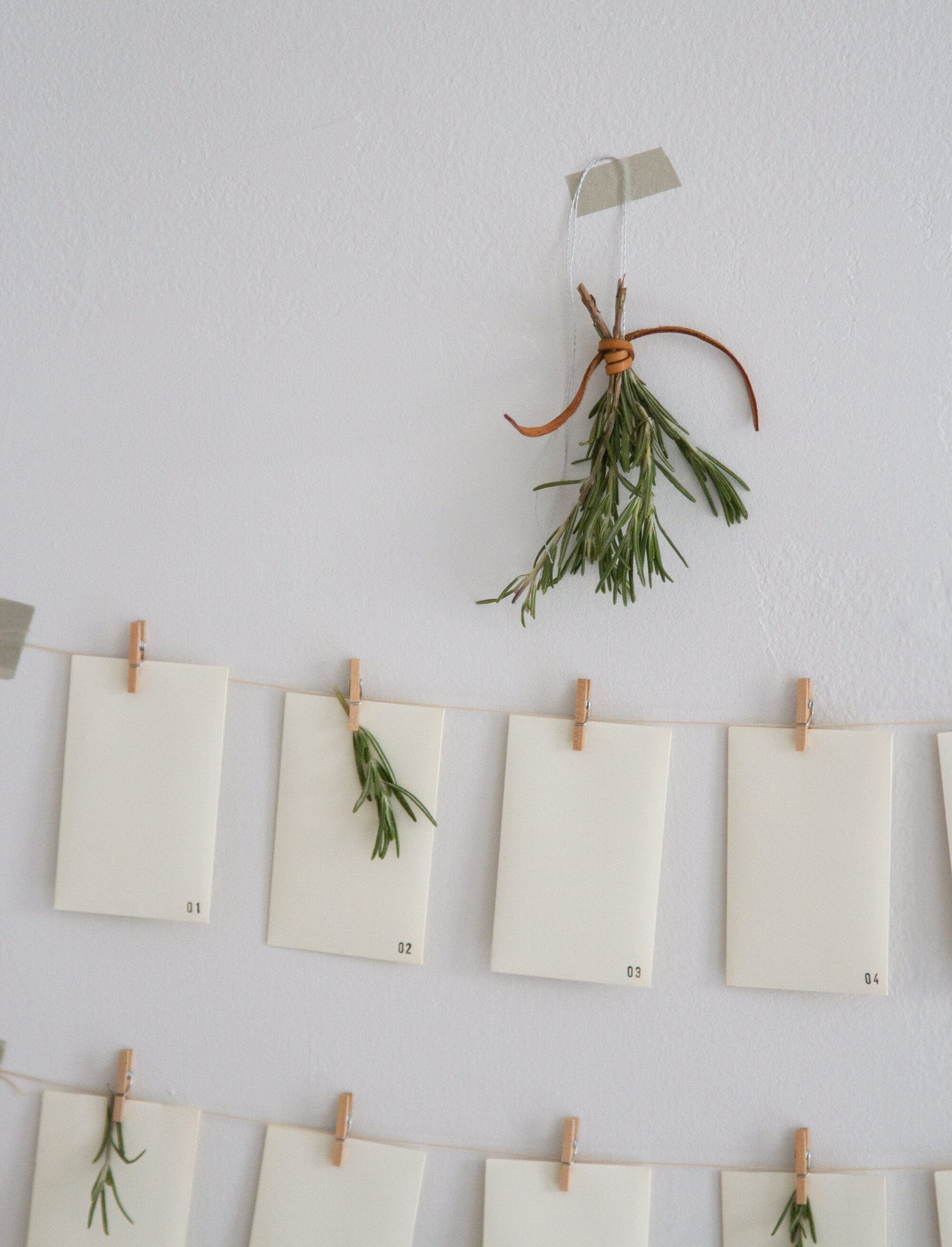 a peace and justice advent calendar | reading my tea leaves