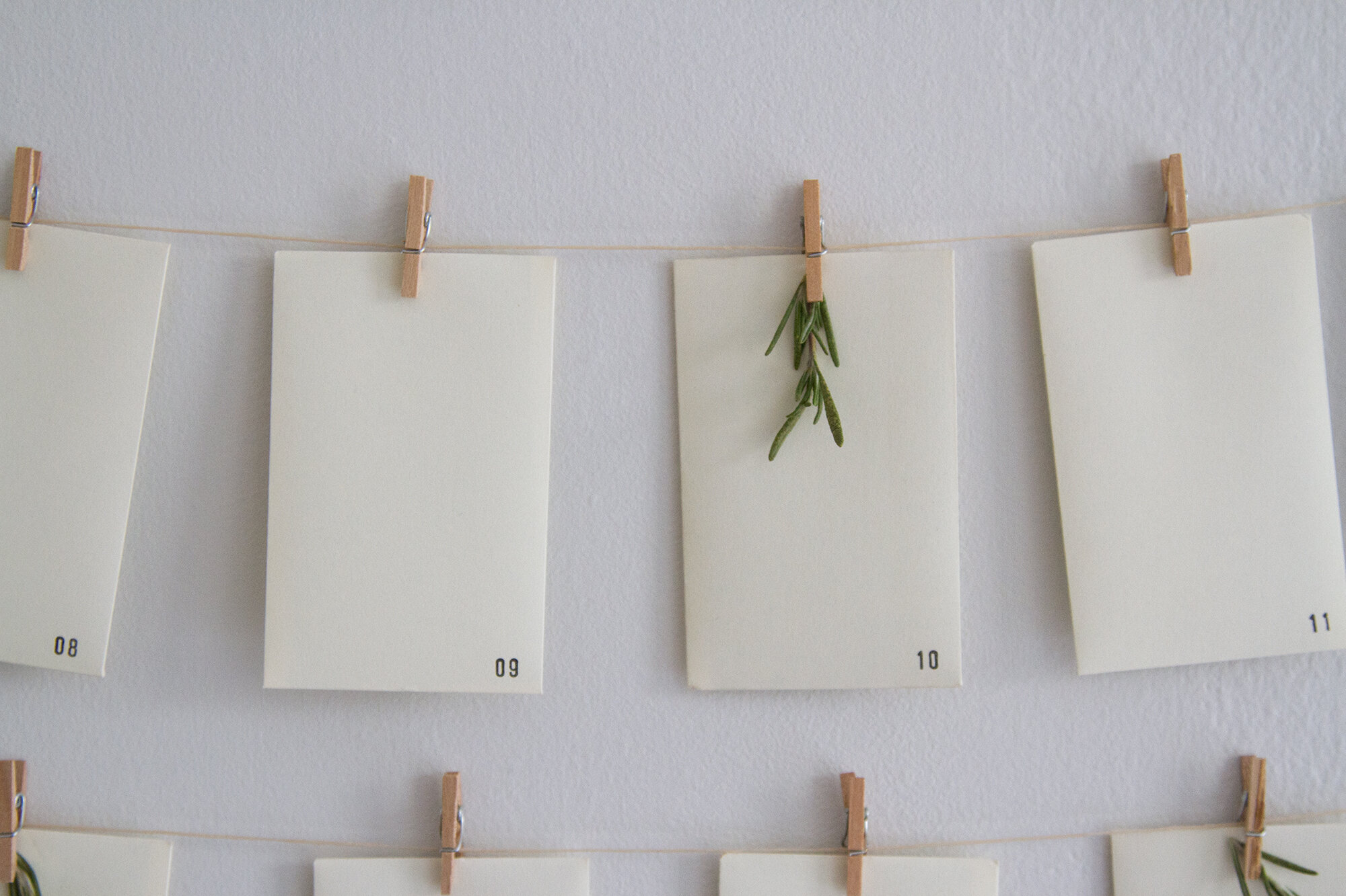 a peace and justice advent calendar | reading my tea leaves