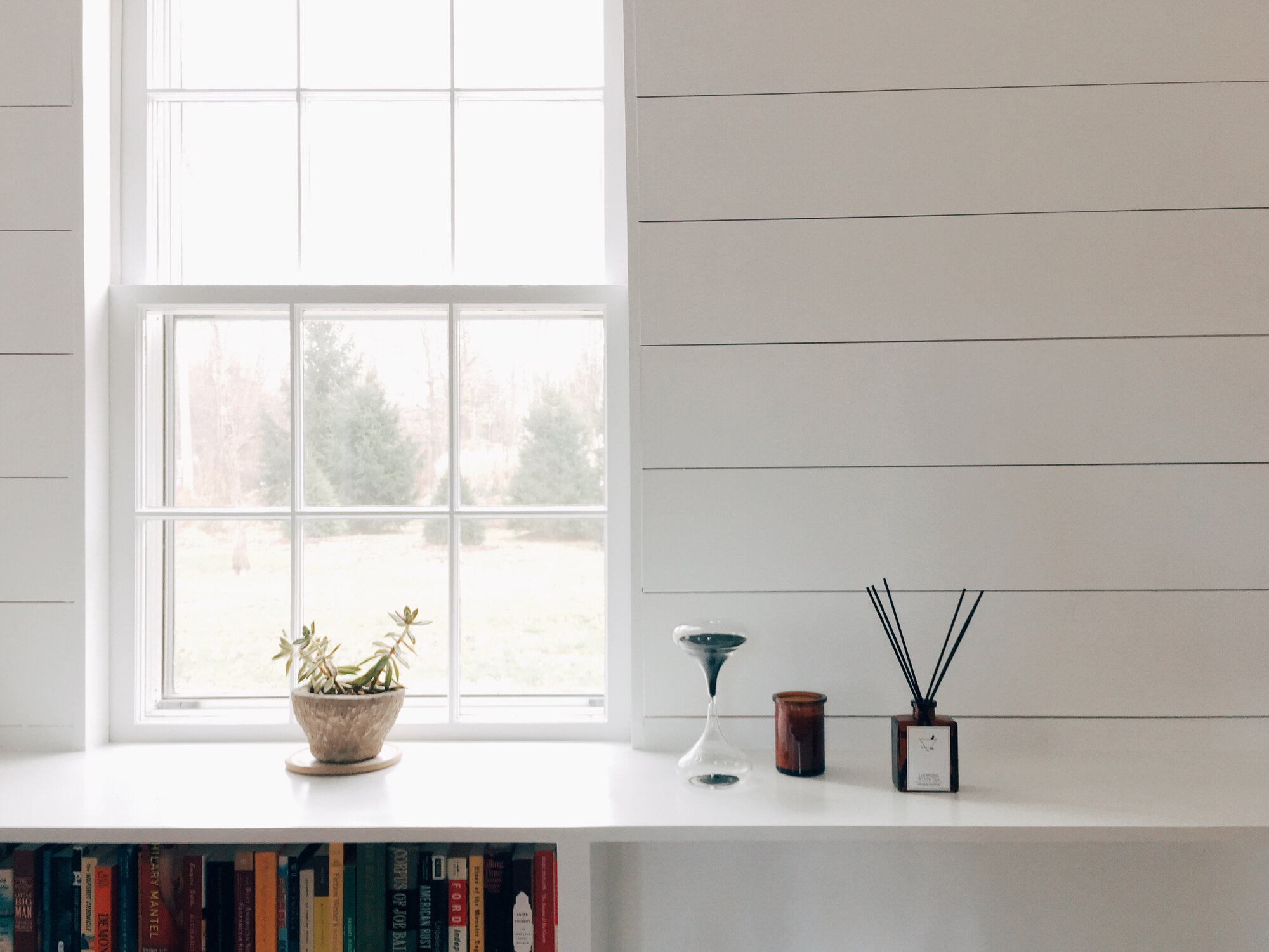 simple matters with suzie ryu of trollhagen & co. | reading my tea leaves