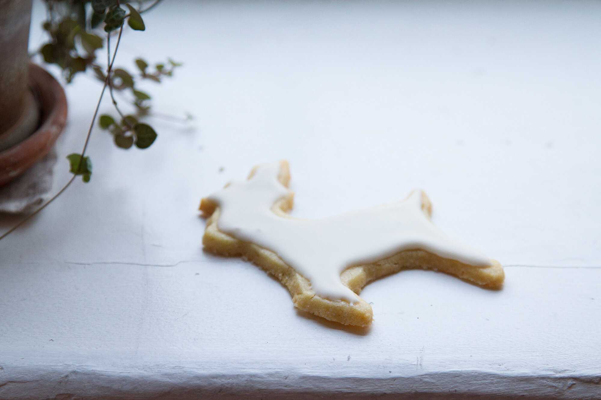 cookie | reading my tea leaves