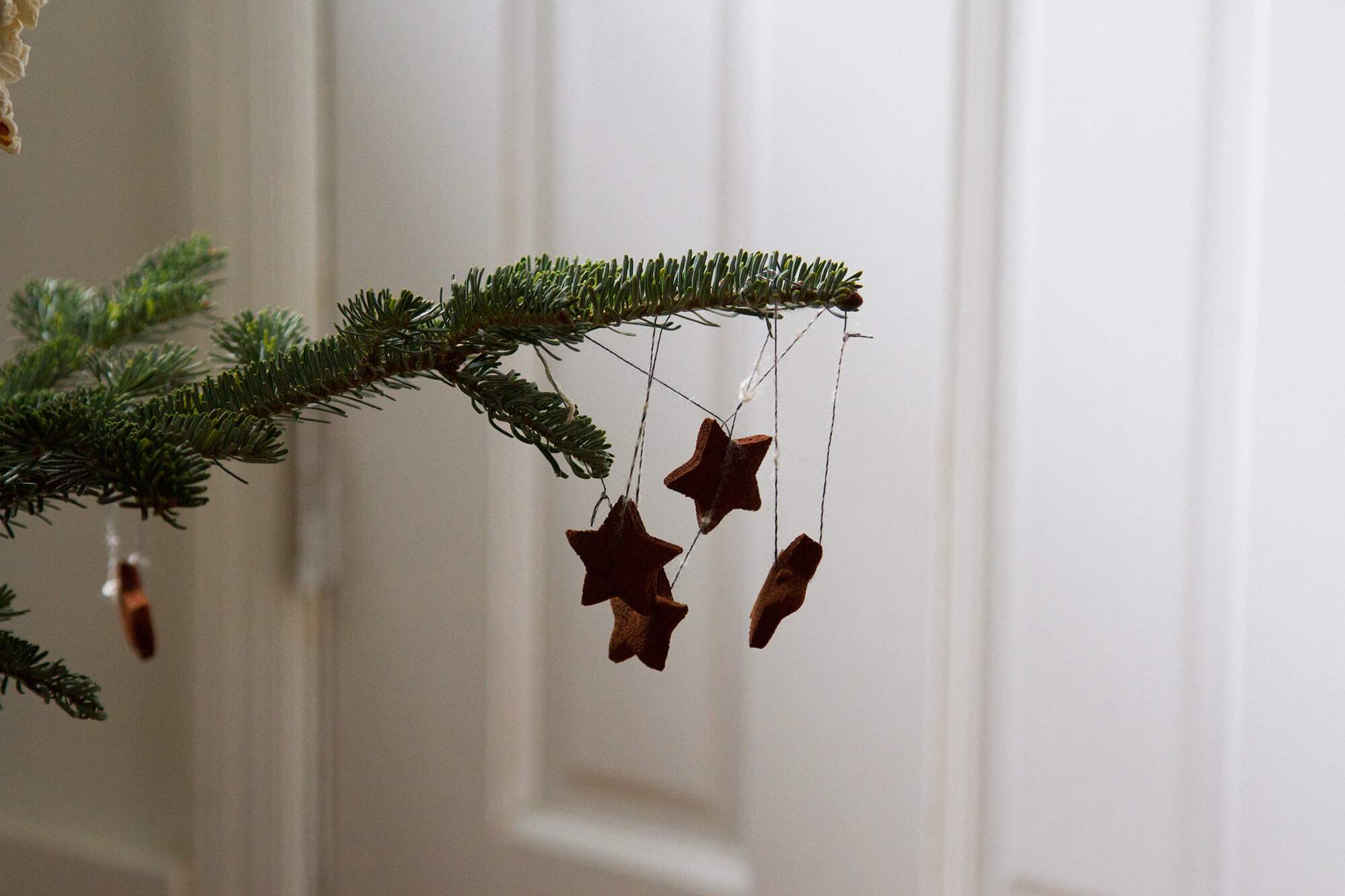 stars |reading my tea leaves