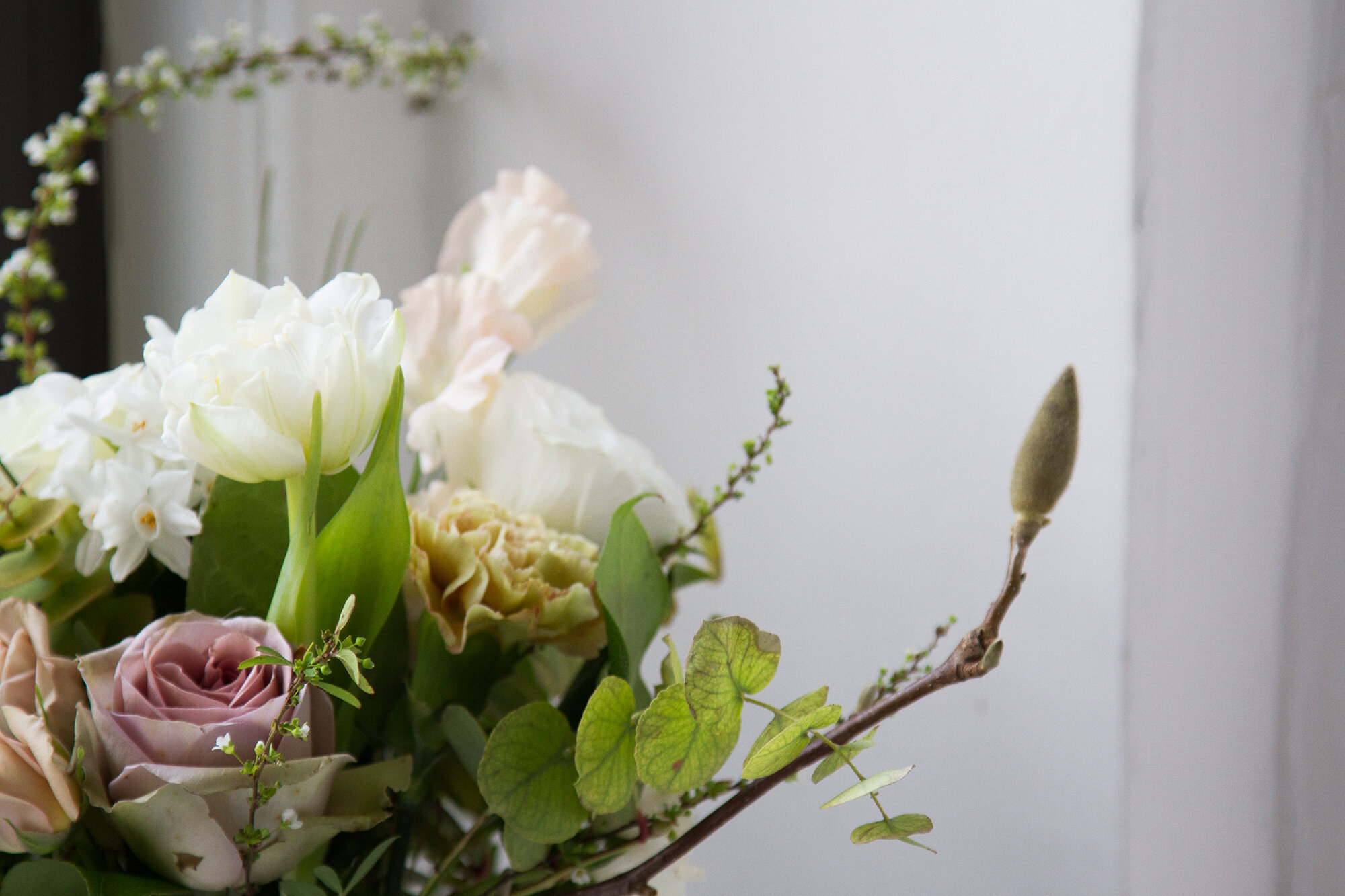 flowers | reading my tea leaves