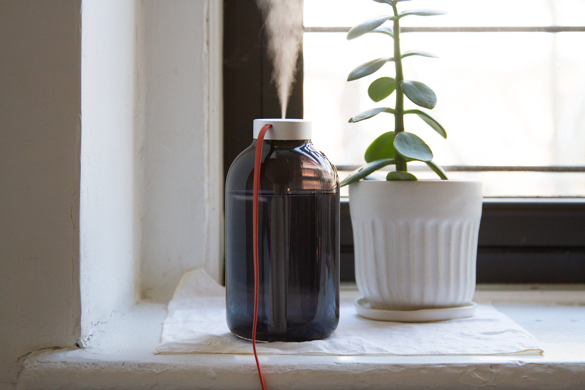 humidifier | reading my tea leaves