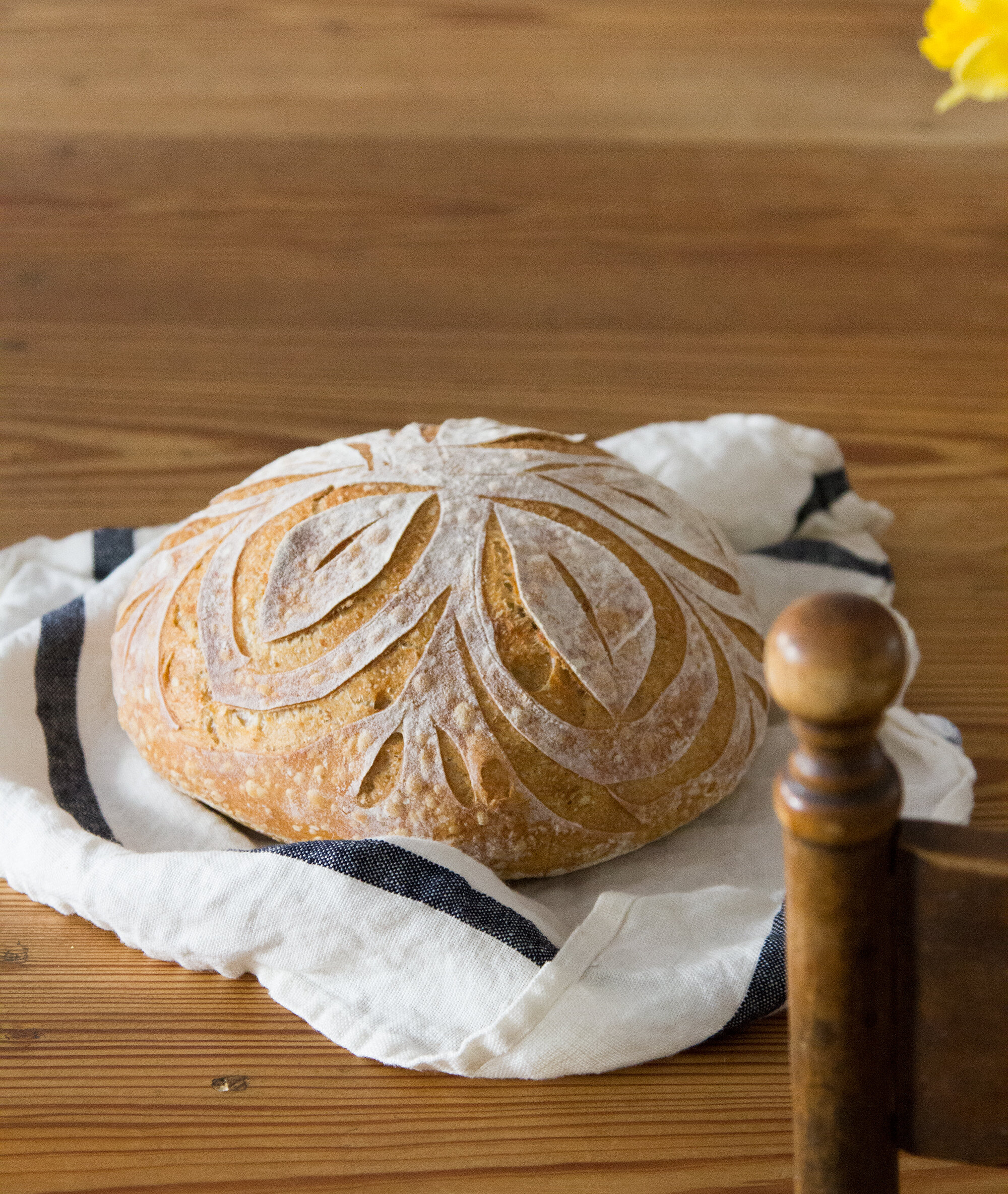 sourdough FAQ | reading my tea leaves