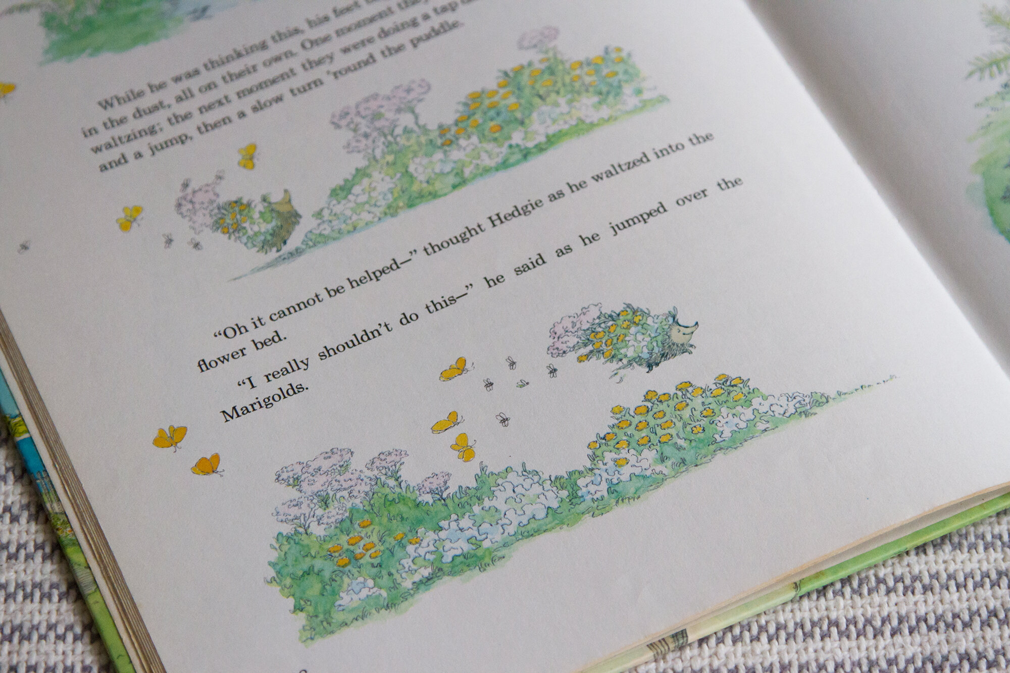 miss jaster's garden | reading my tea leaves