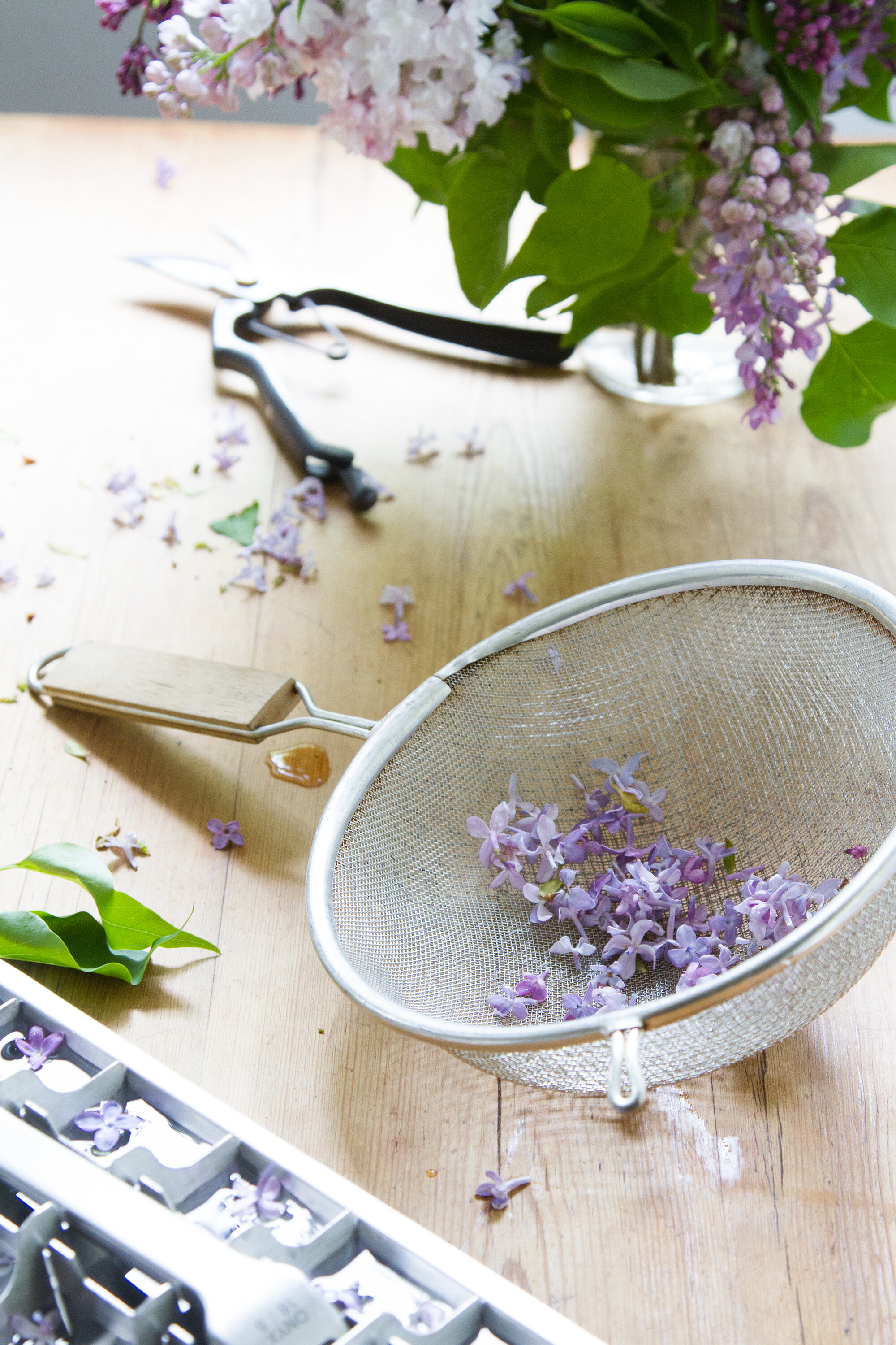 lilac ice cubes gone wrong | reading my tea leaves