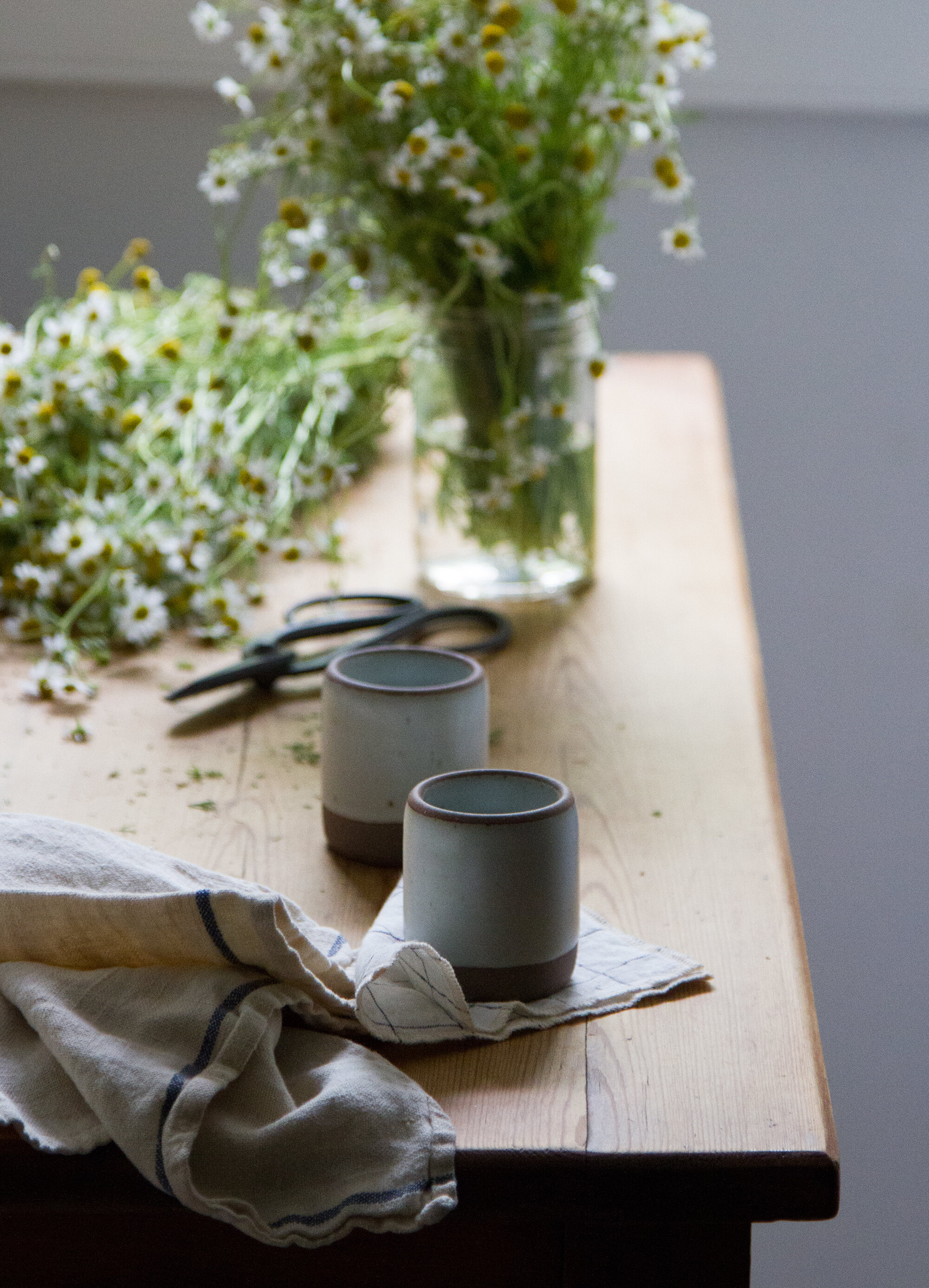 make your own chamomile tea | reading my tea leaves