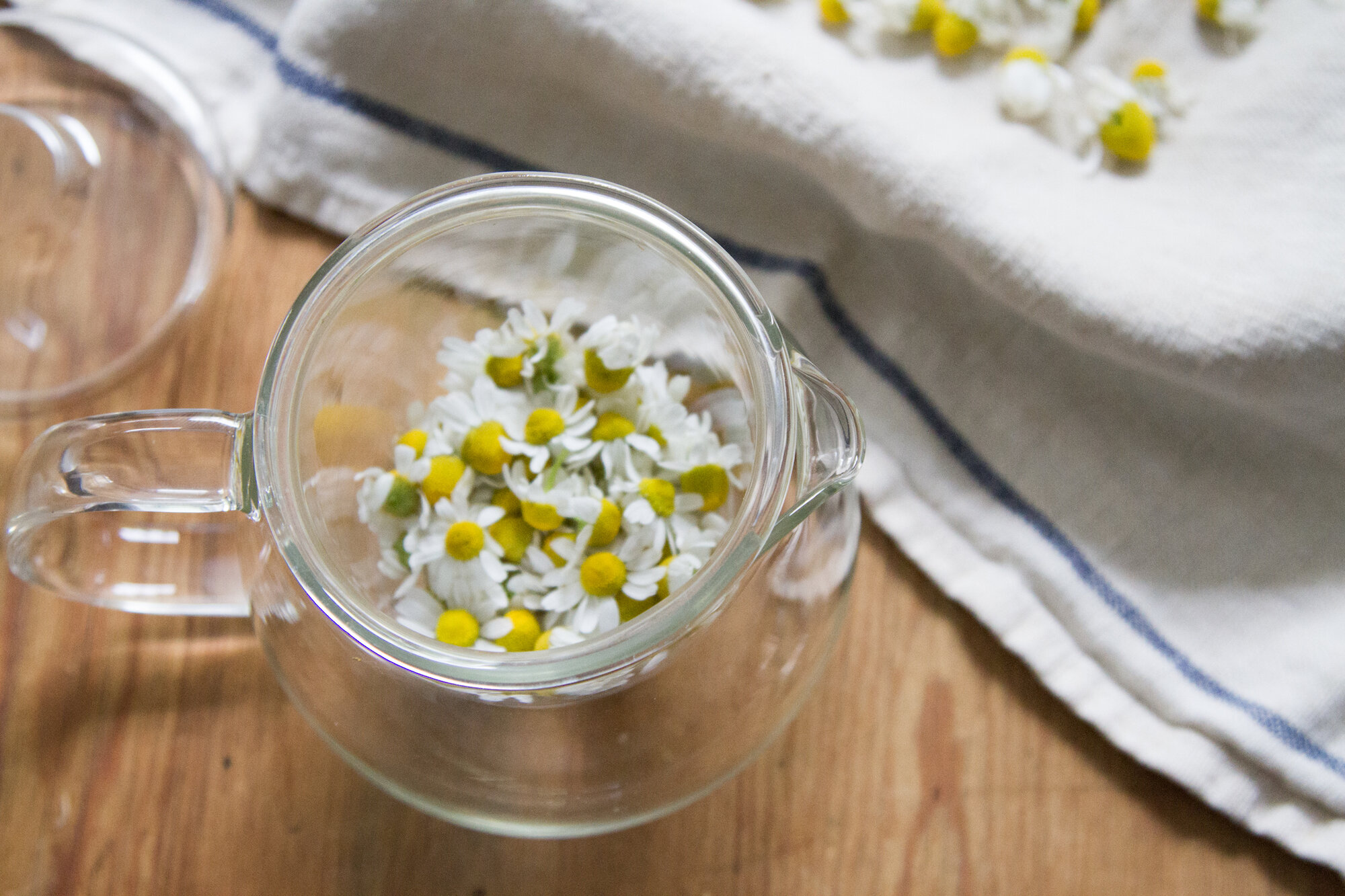 make your own chamomile tea | reading my tea leaves