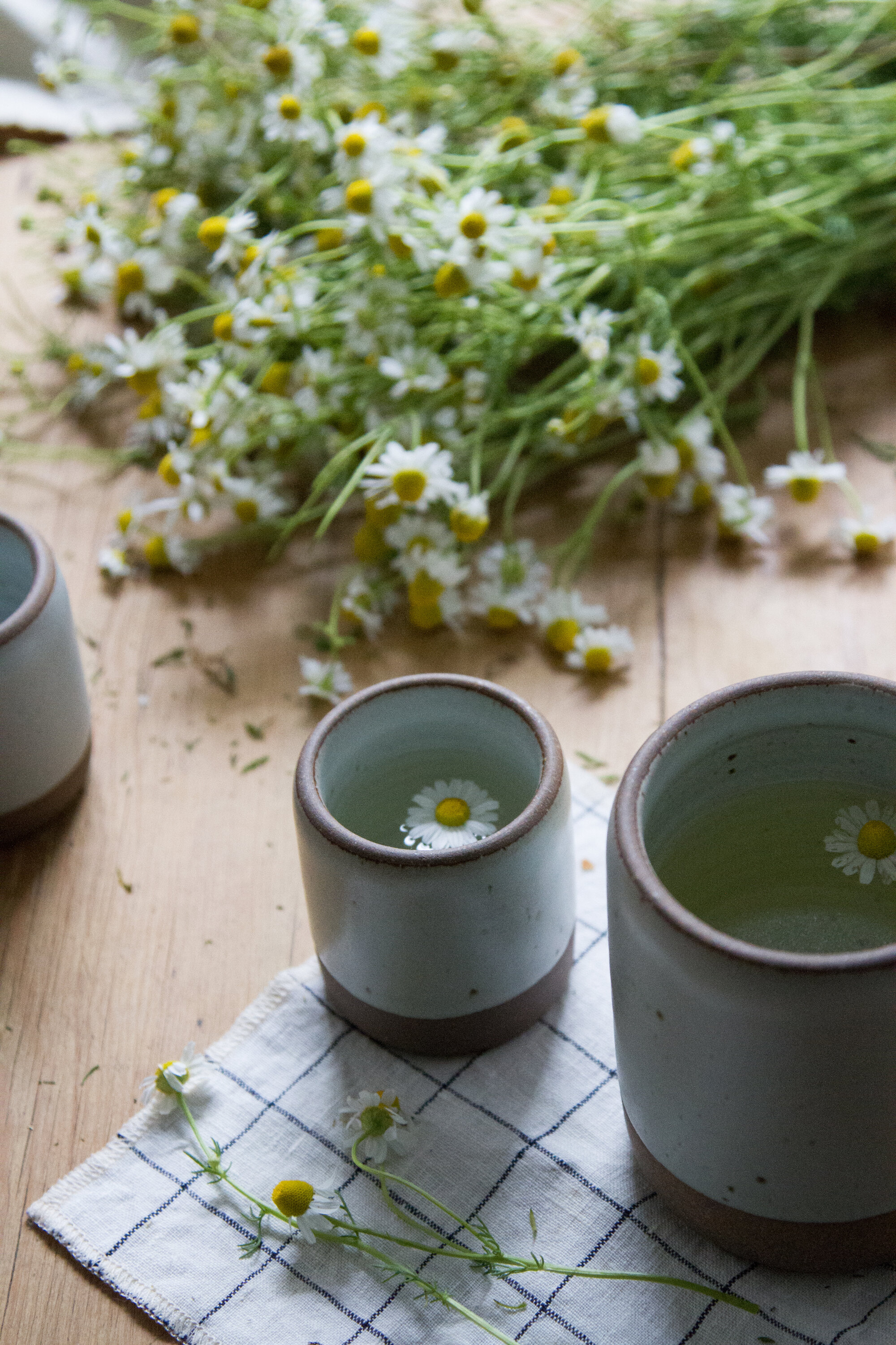 make your own chamomile tea | reading my tea leaves